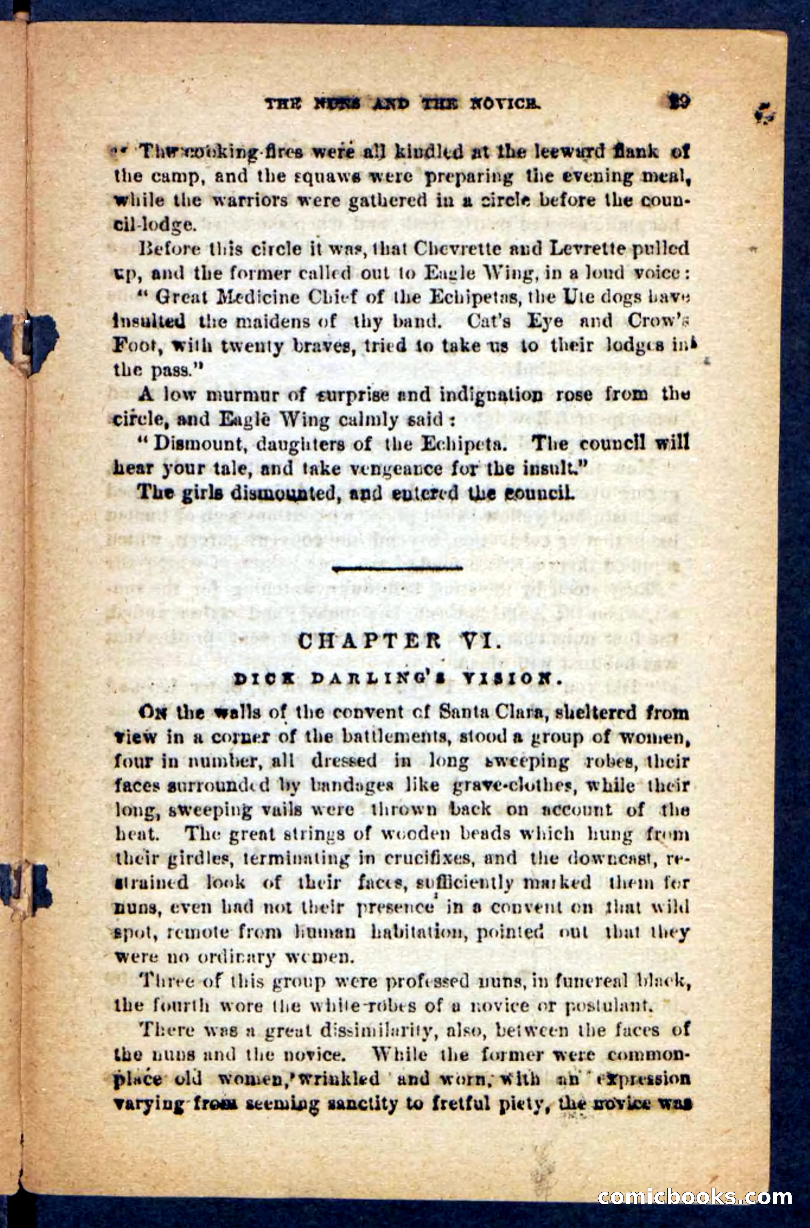 Beadle's Pocket Novels No. 221: Dick Darling — page 25 of 100