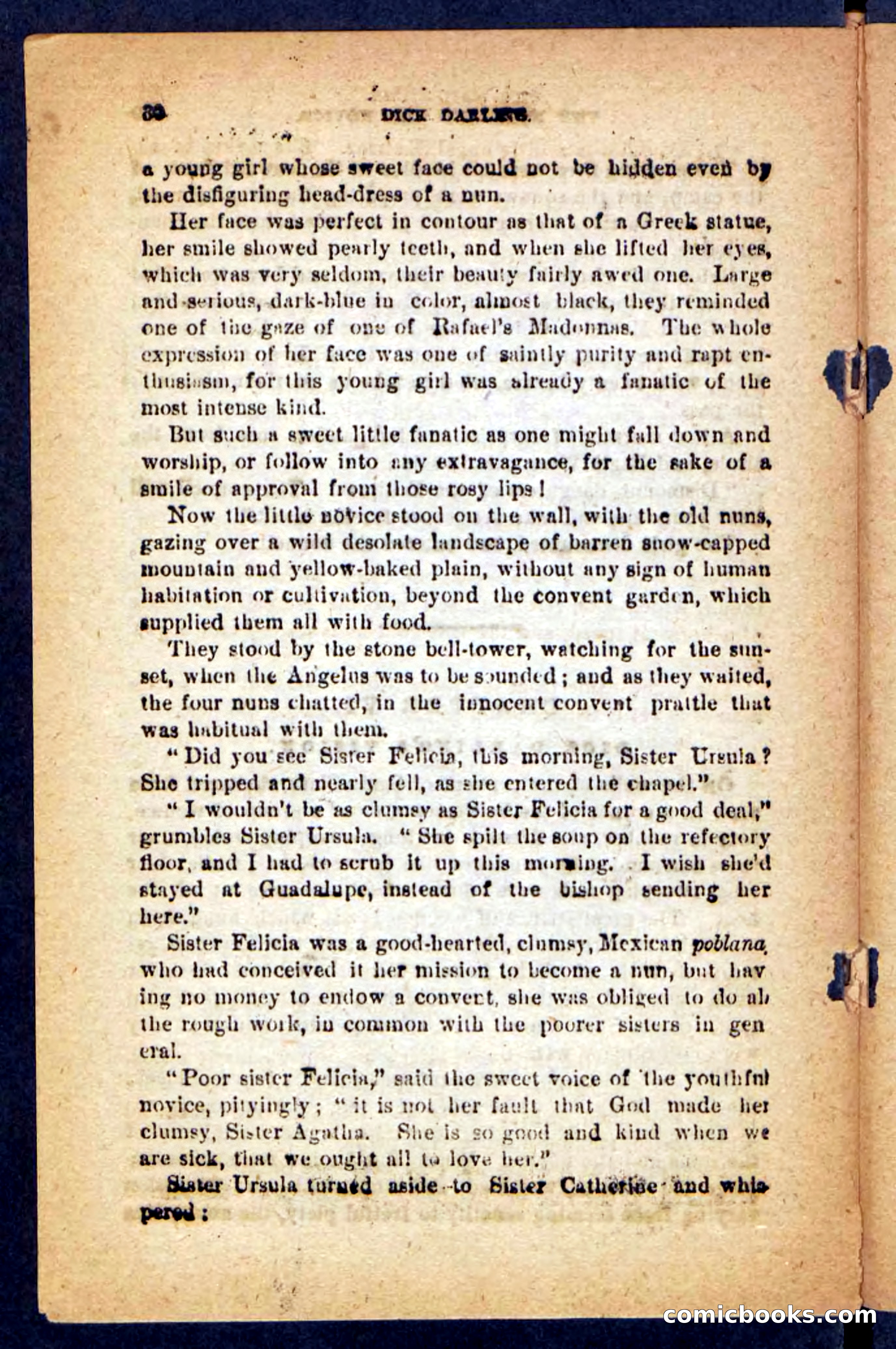 Beadle's Pocket Novels No. 221: Dick Darling — page 26 of 100