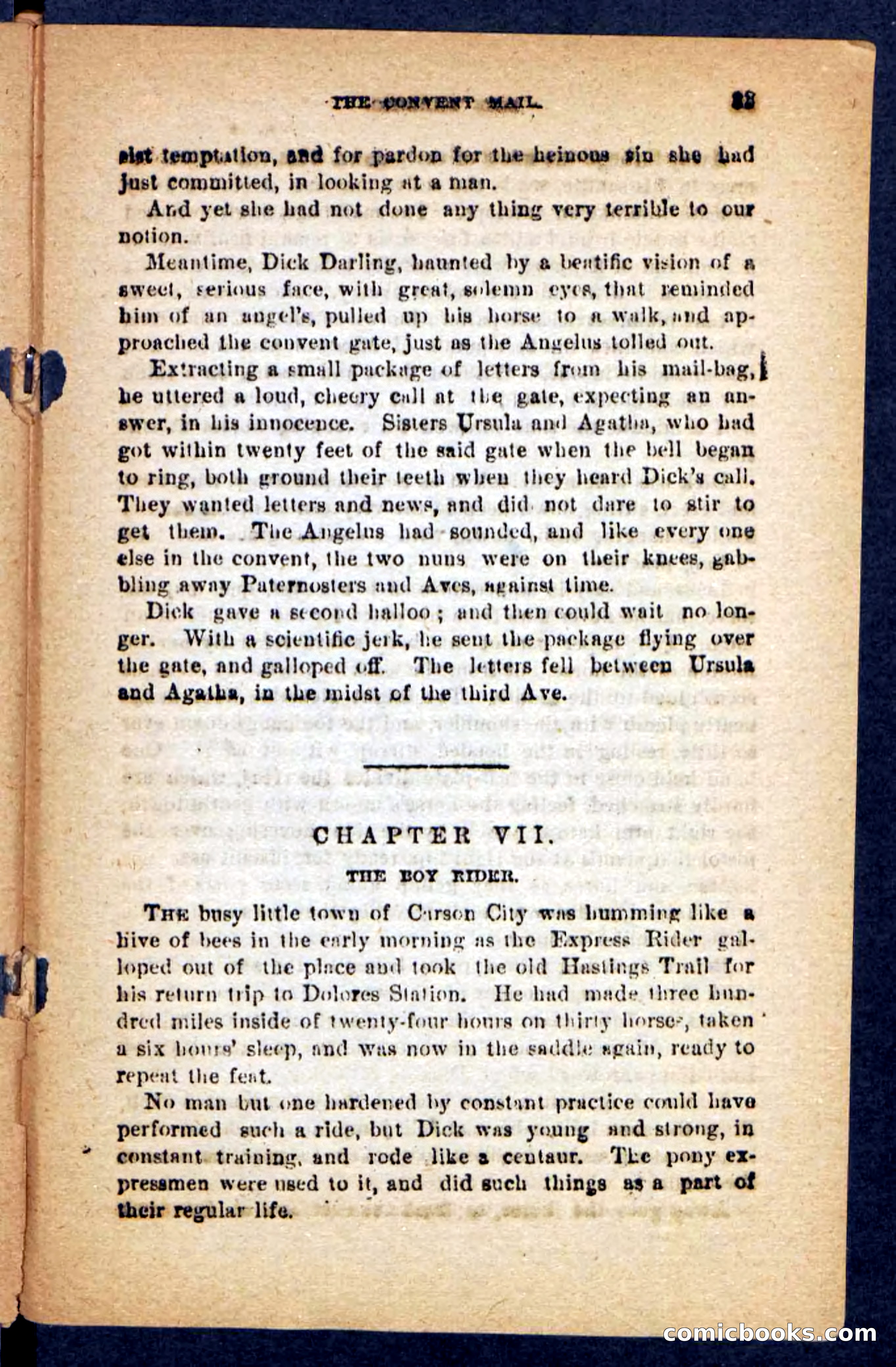 Beadle's Pocket Novels No. 221: Dick Darling — page 29 of 100