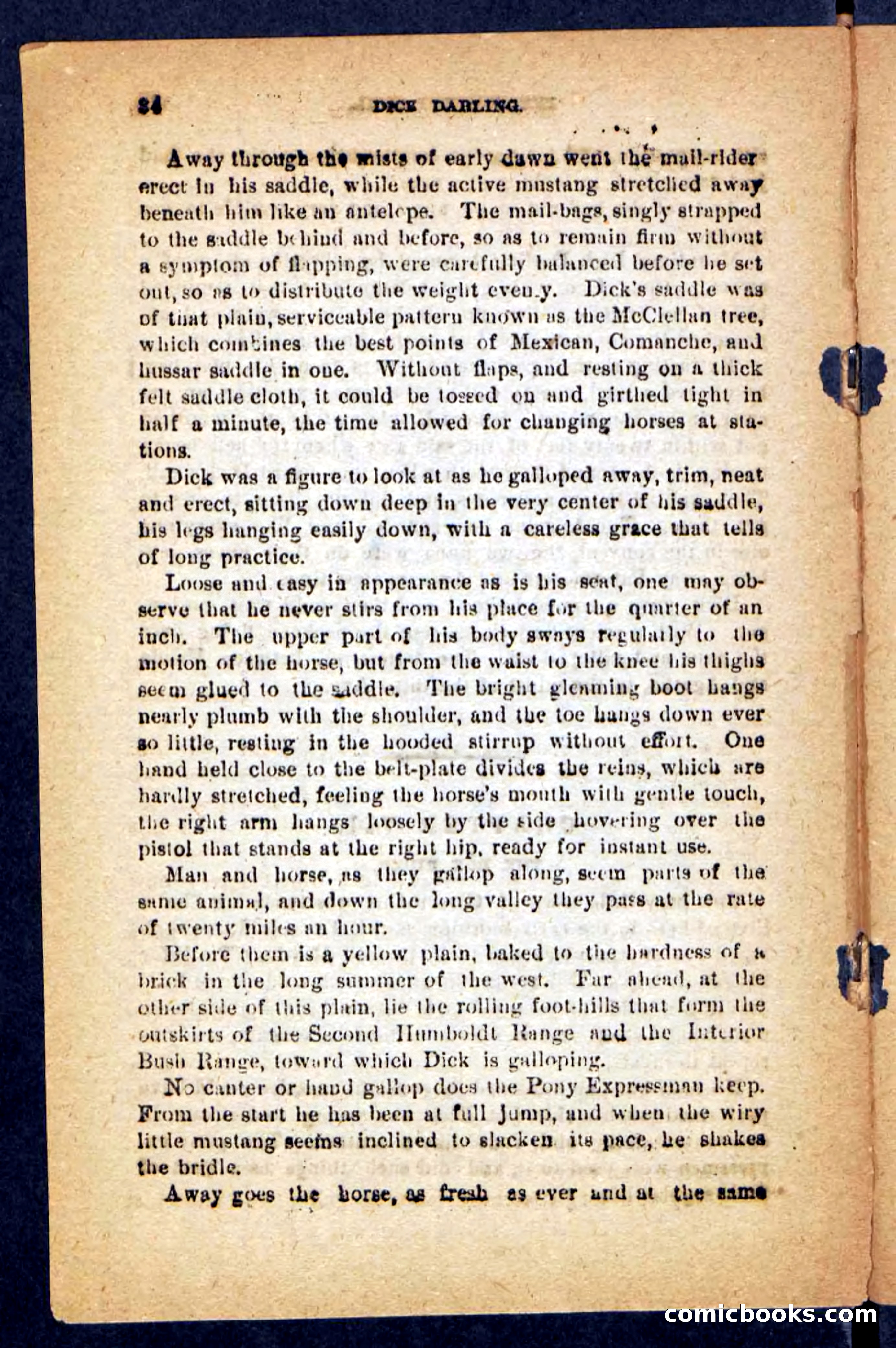 Beadle's Pocket Novels No. 221: Dick Darling — page 30 of 100