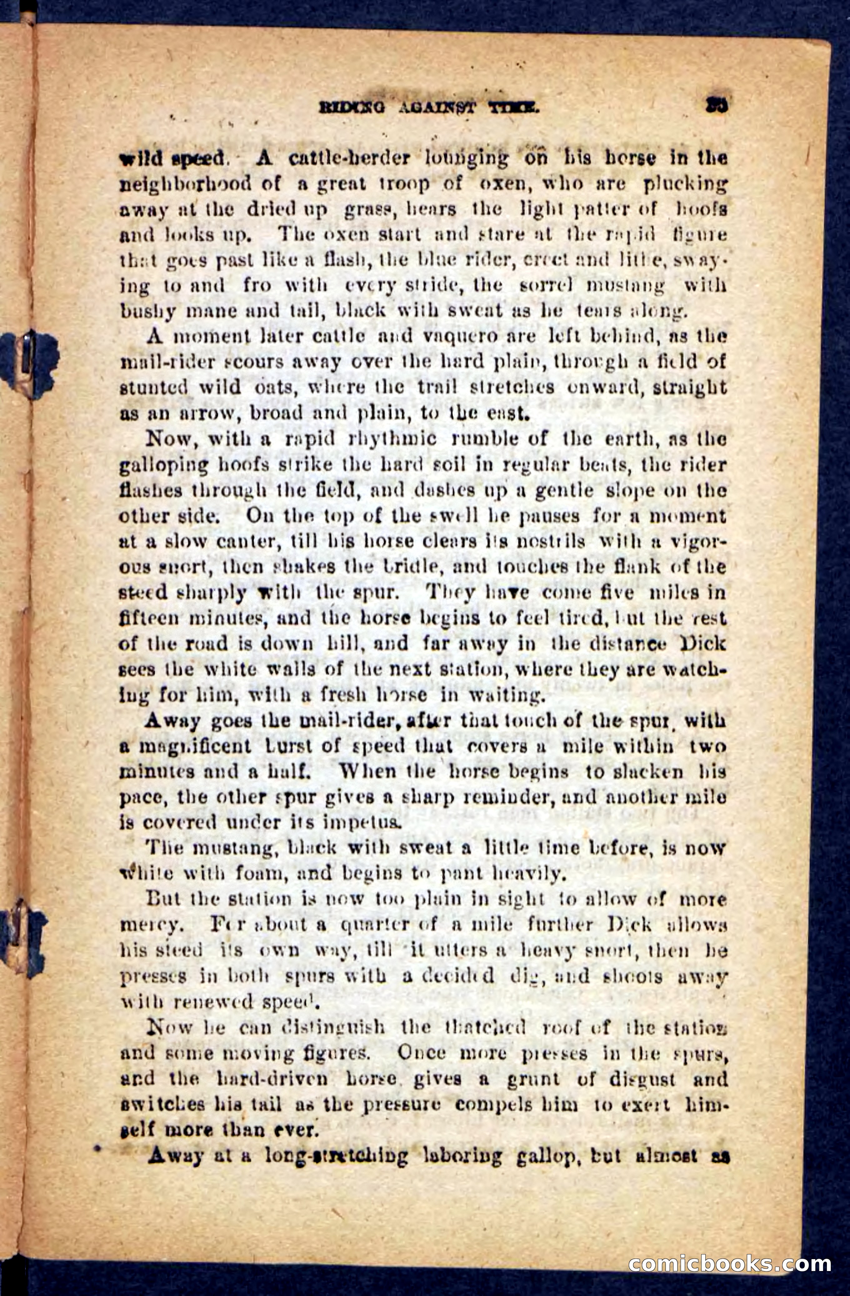 Beadle's Pocket Novels No. 221: Dick Darling — page 31 of 100