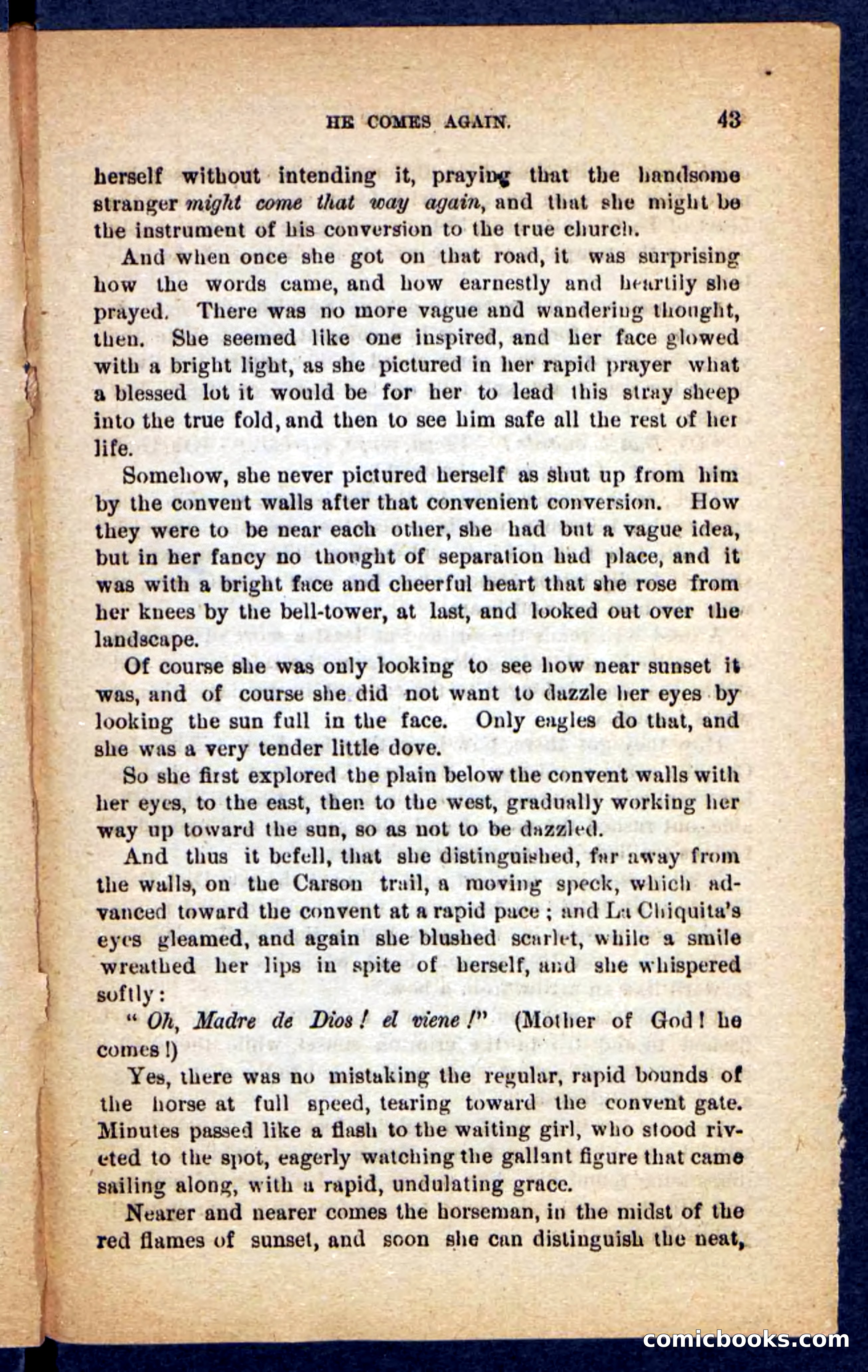 Beadle's Pocket Novels No. 221: Dick Darling — page 39 of 100
