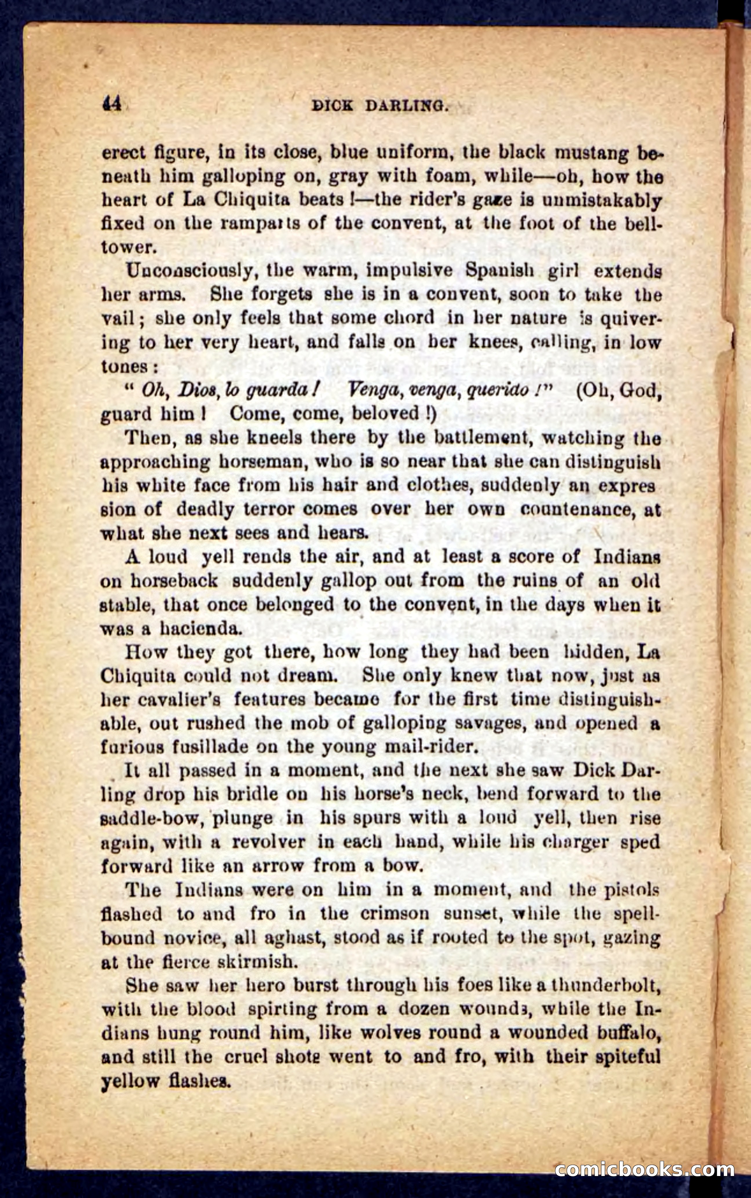 Beadle's Pocket Novels No. 221: Dick Darling — page 40 of 100