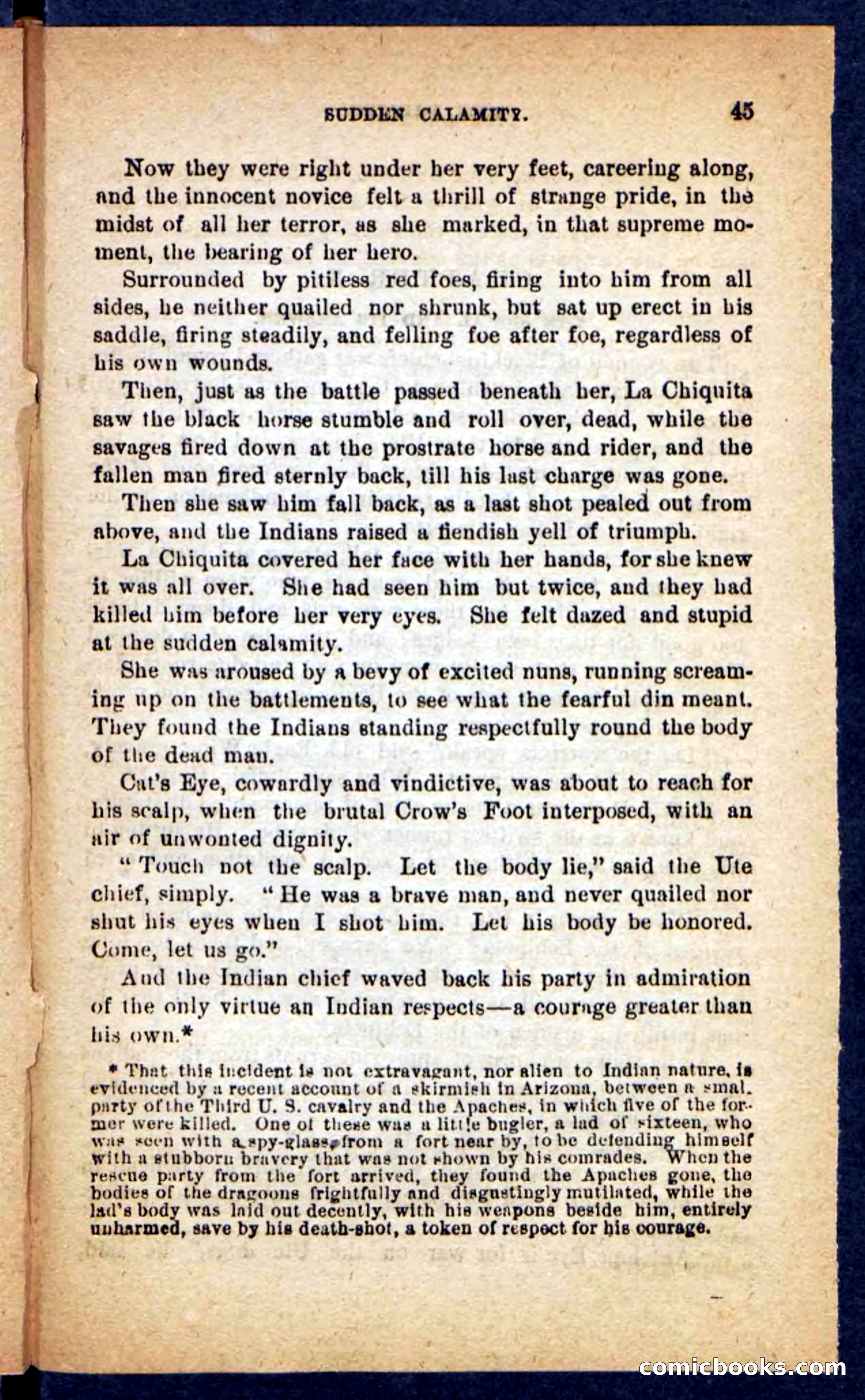 Beadle's Pocket Novels No. 221: Dick Darling — page 41 of 100