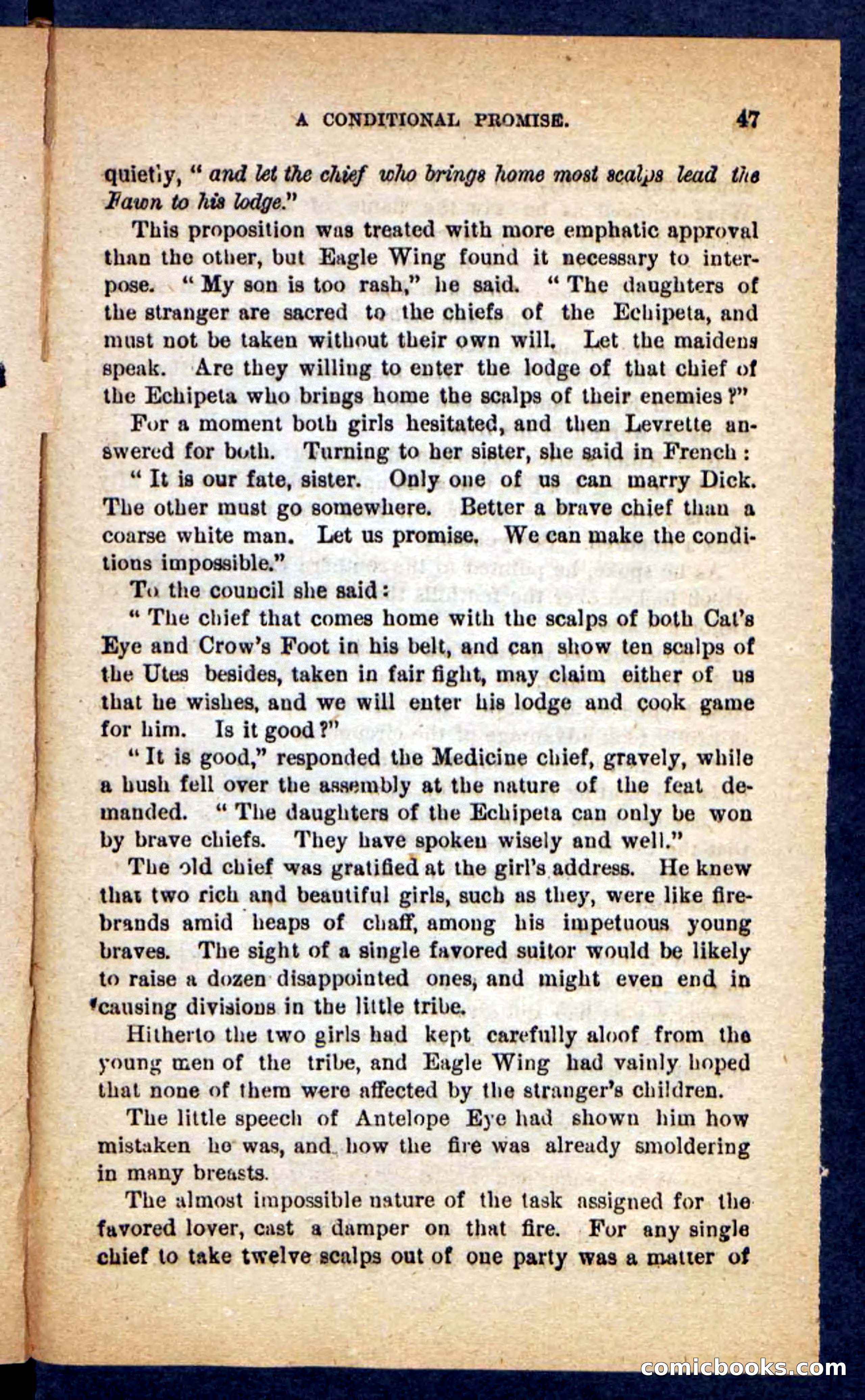 Beadle's Pocket Novels No. 221: Dick Darling — page 43 of 100
