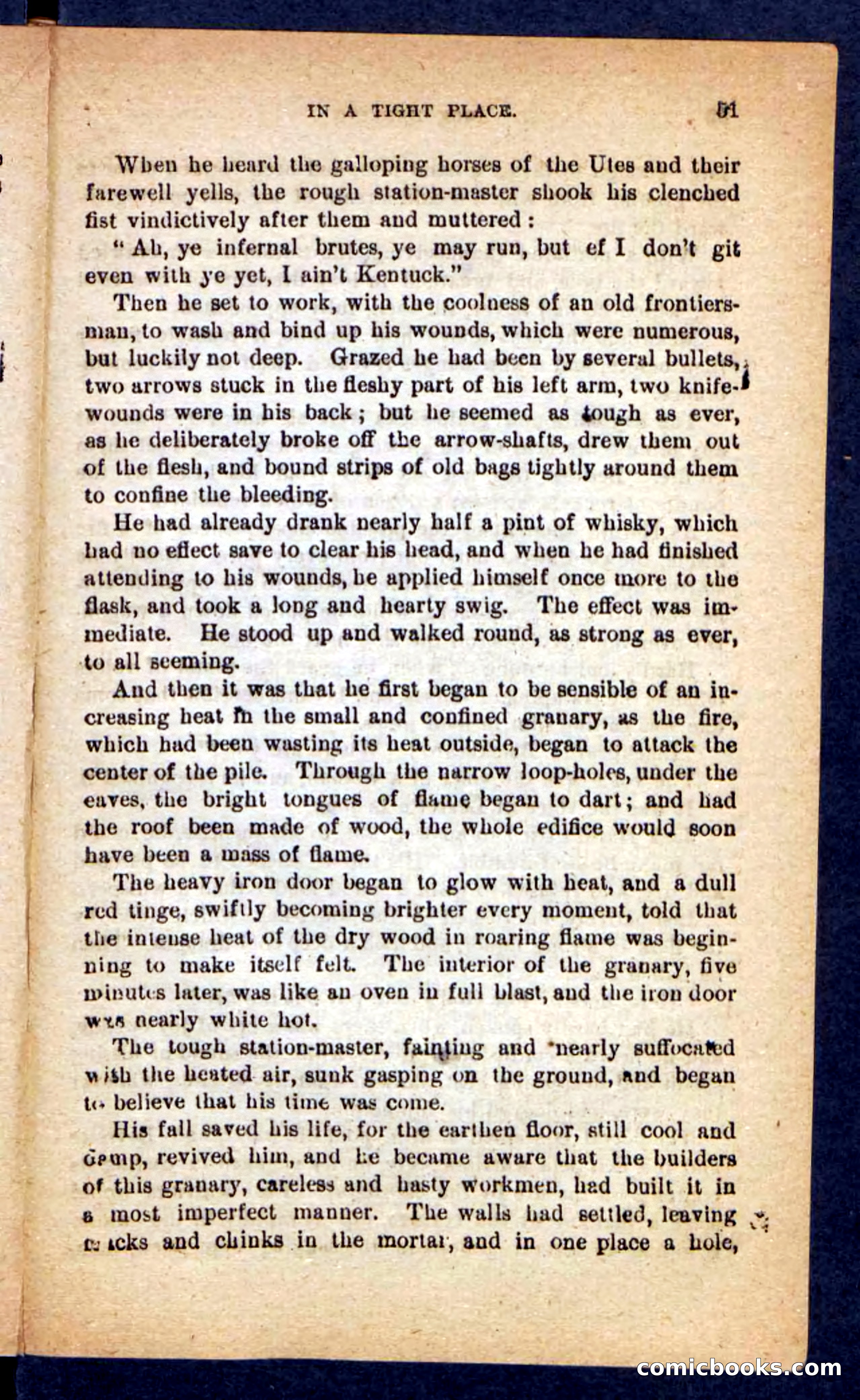 Beadle's Pocket Novels No. 221: Dick Darling — page 47 of 100