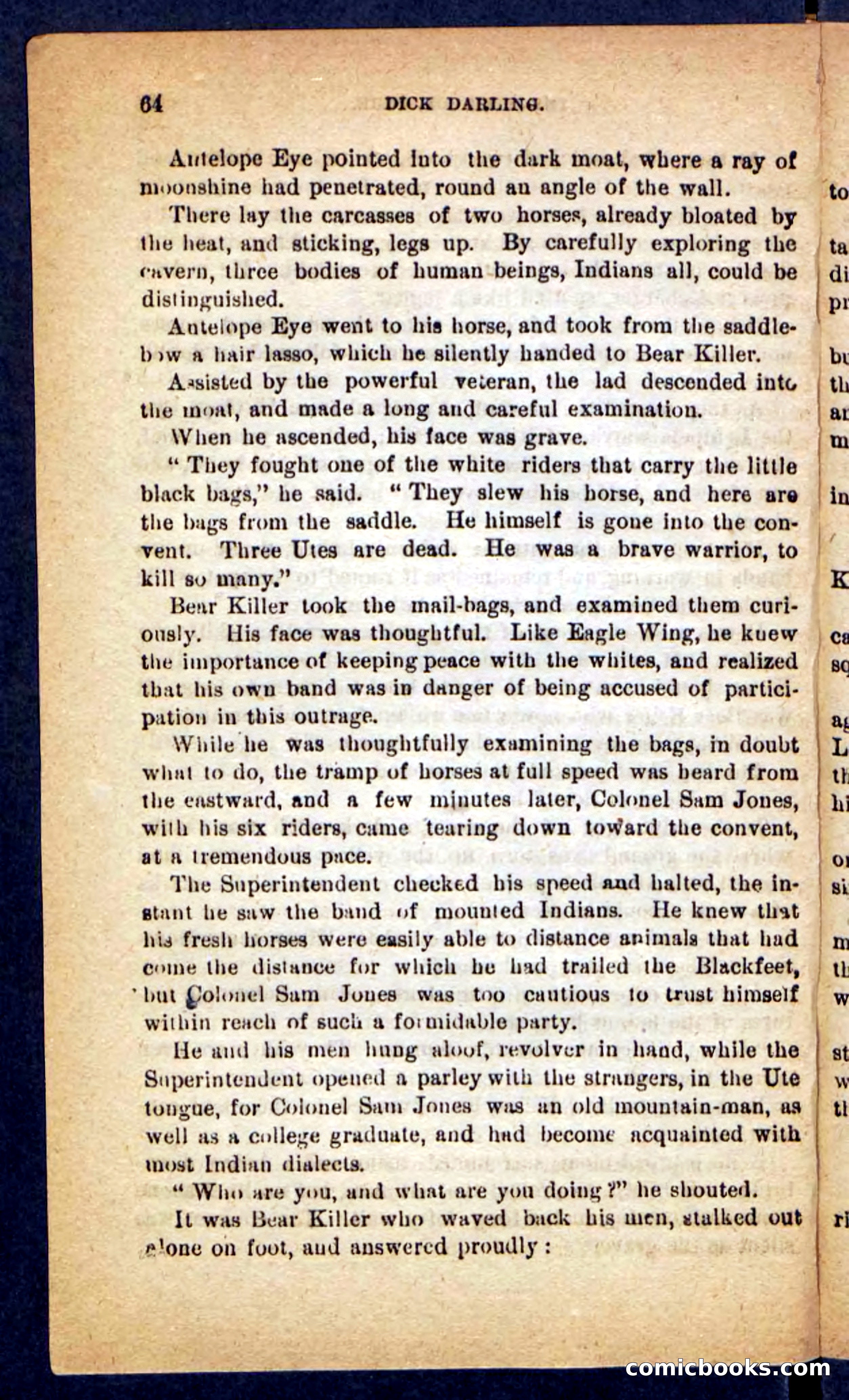 Beadle's Pocket Novels No. 221: Dick Darling — page 60 of 100