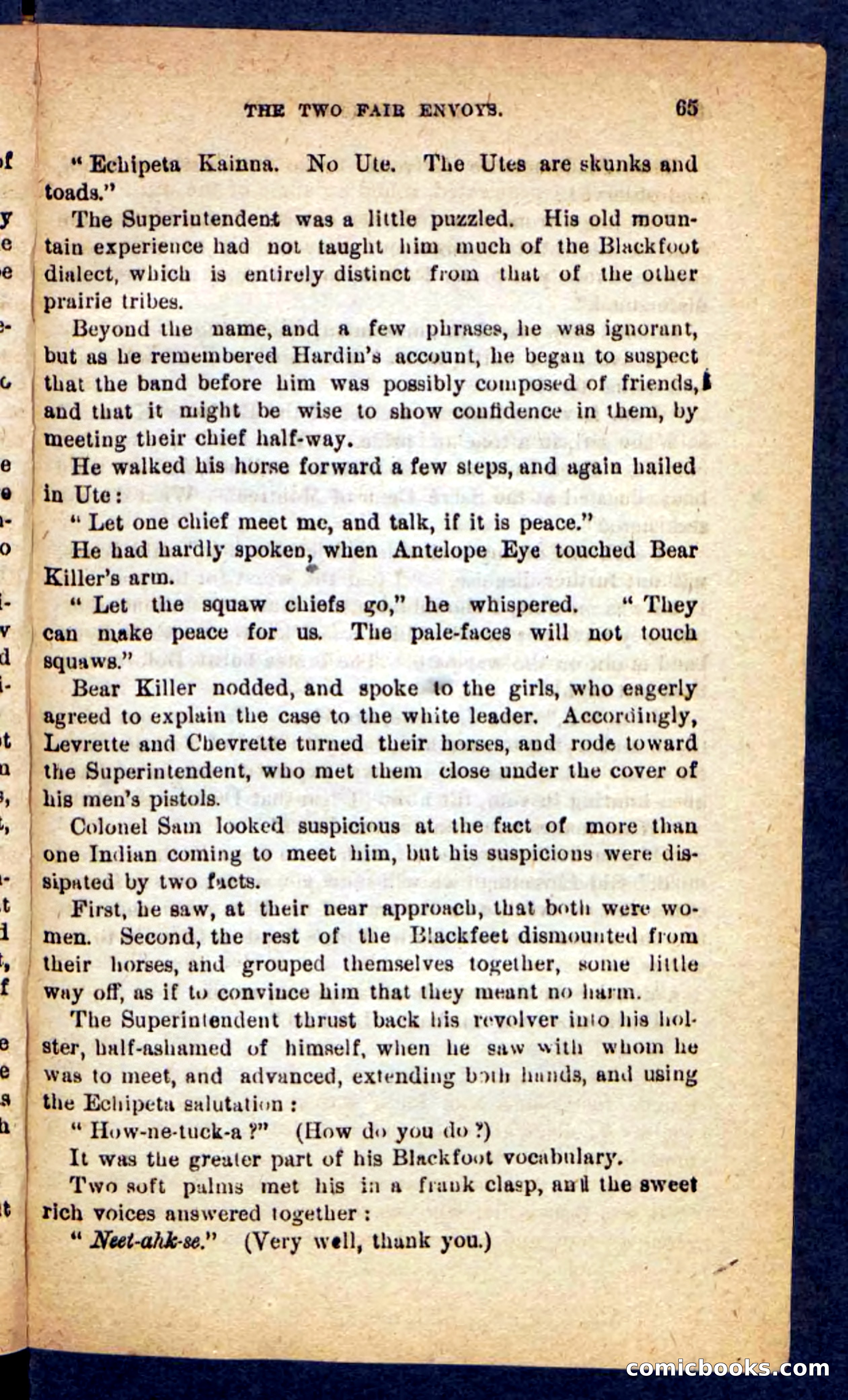Beadle's Pocket Novels No. 221: Dick Darling — page 61 of 100