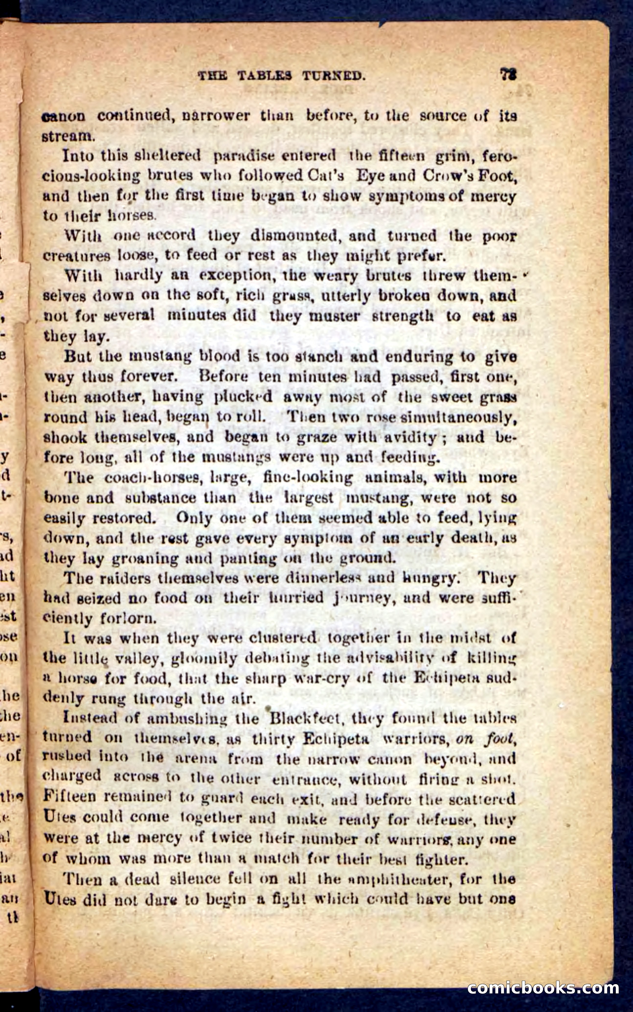 Beadle's Pocket Novels No. 221: Dick Darling — page 69 of 100