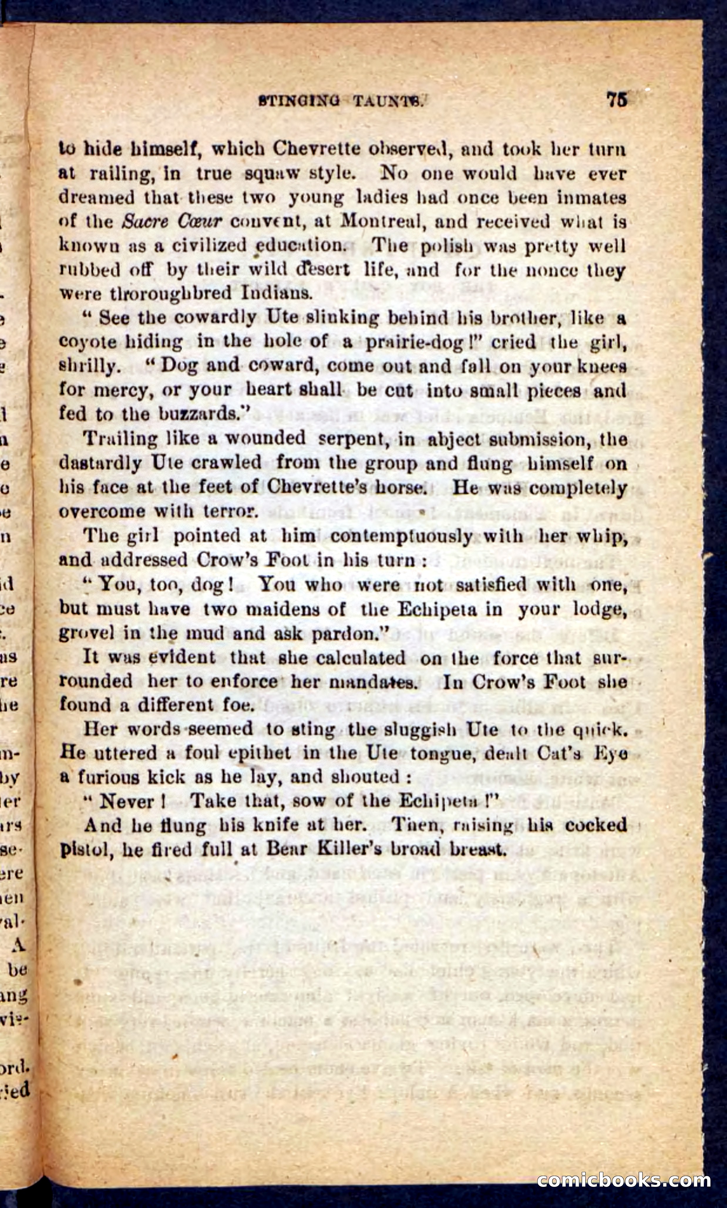 Beadle's Pocket Novels No. 221: Dick Darling — page 71 of 100