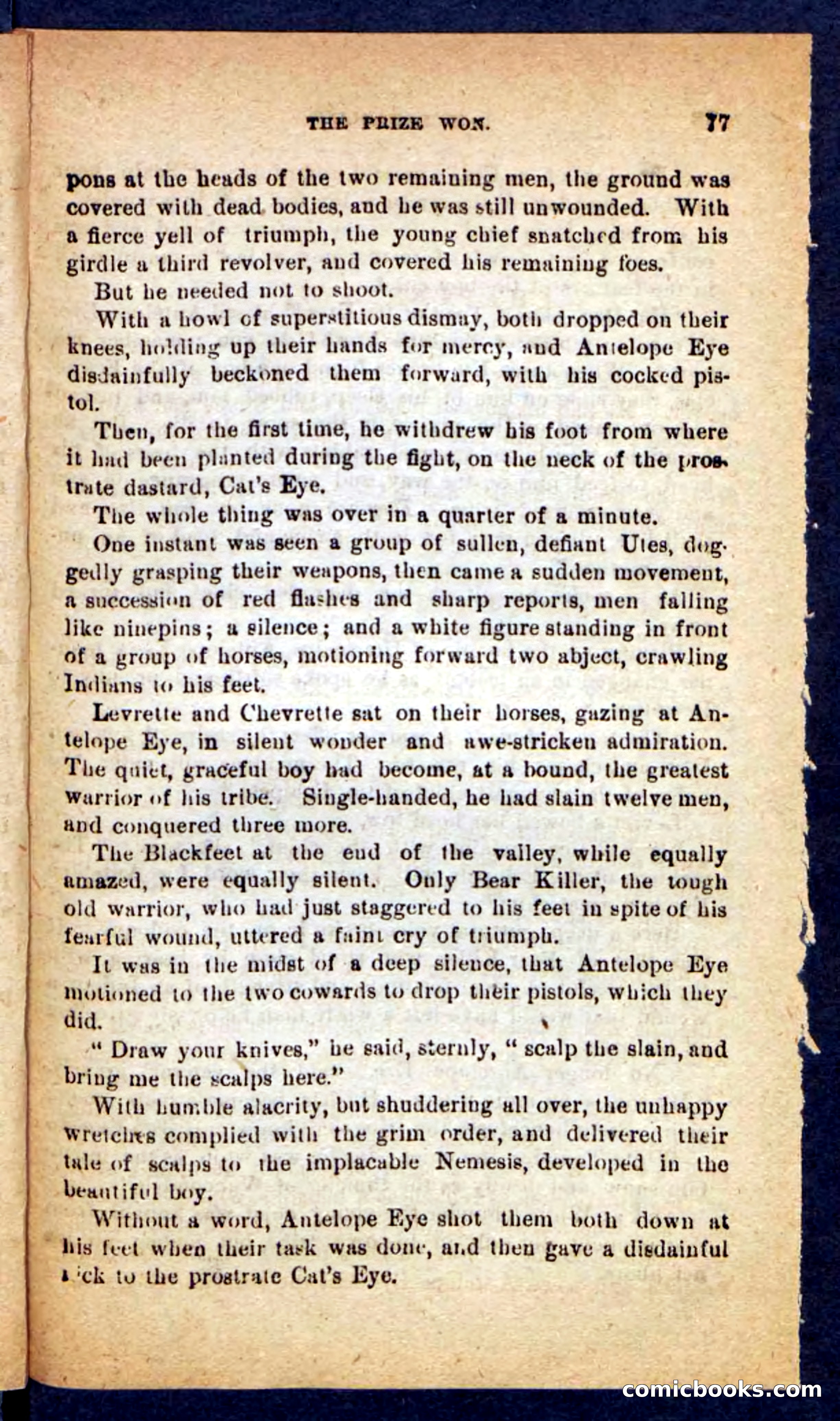 Beadle's Pocket Novels No. 221: Dick Darling — page 73 of 100