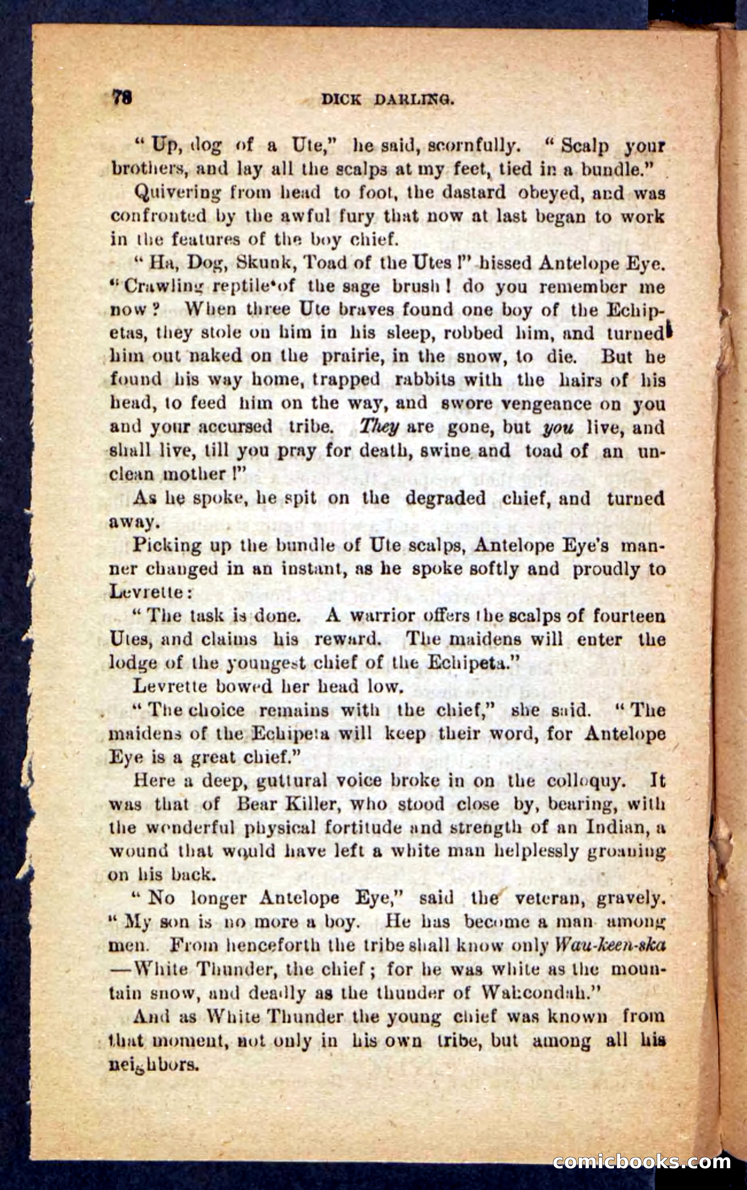 Beadle's Pocket Novels No. 221: Dick Darling — page 74 of 100