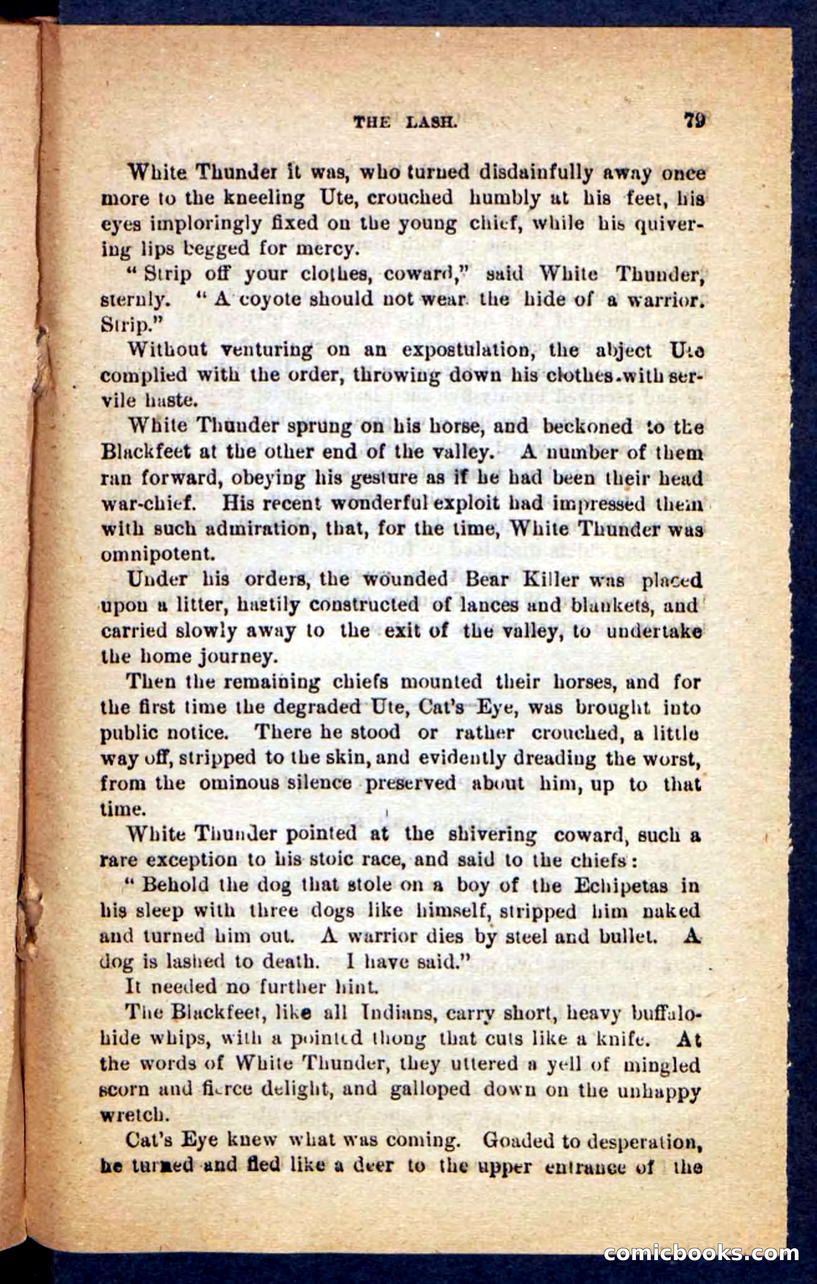Beadle's Pocket Novels No. 221: Dick Darling — page 75 of 100