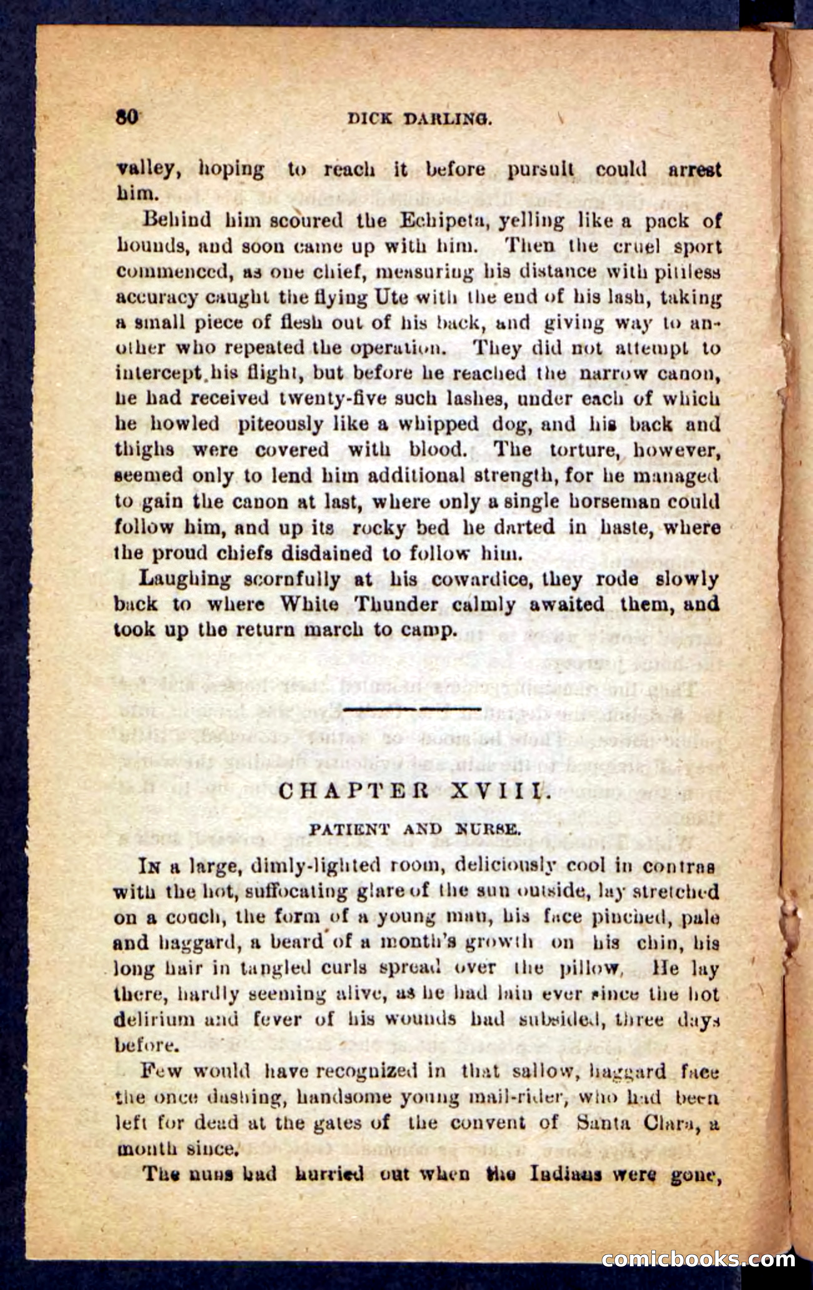 Beadle's Pocket Novels No. 221: Dick Darling — page 76 of 100