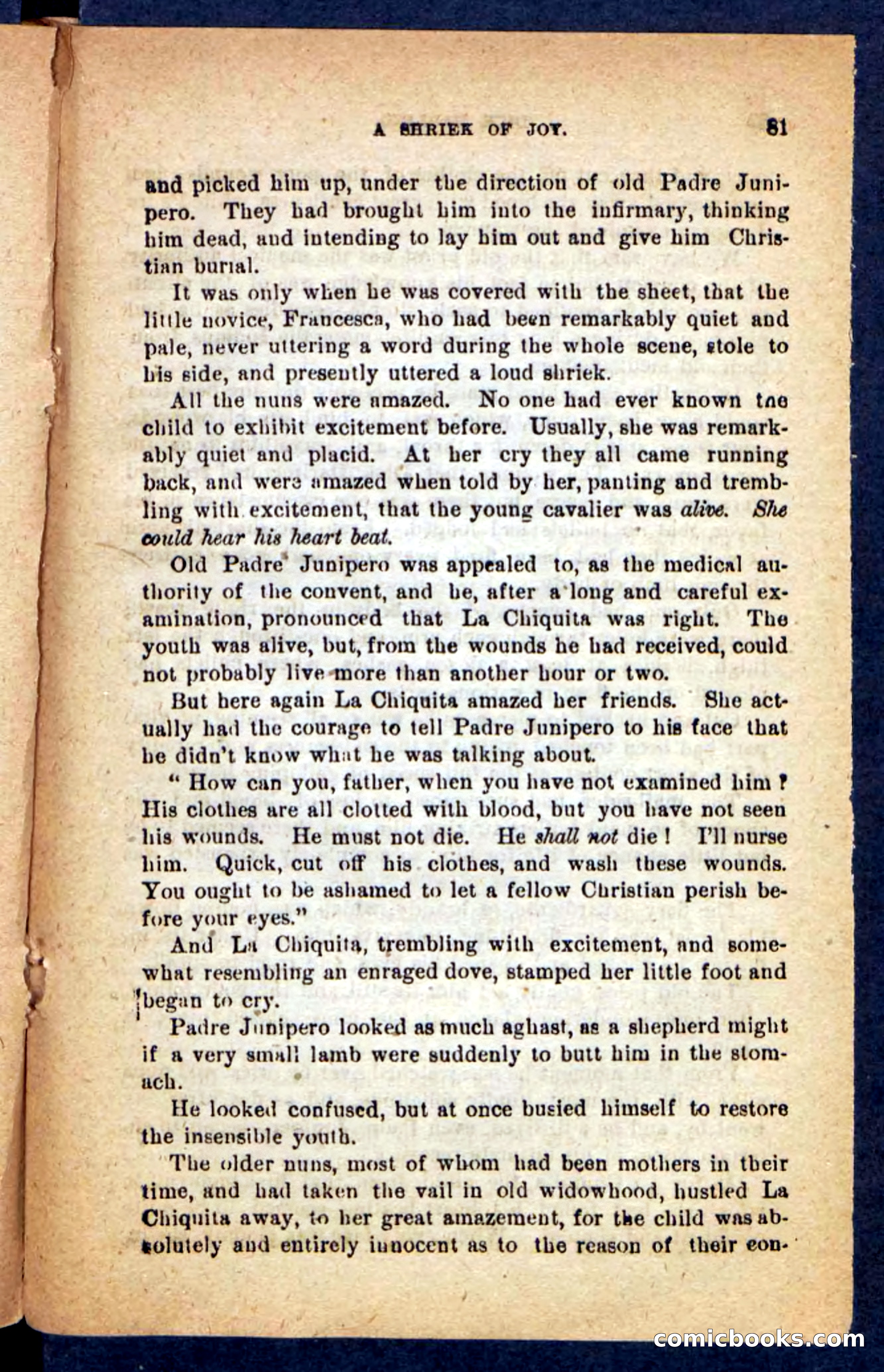 Beadle's Pocket Novels No. 221: Dick Darling — page 77 of 100