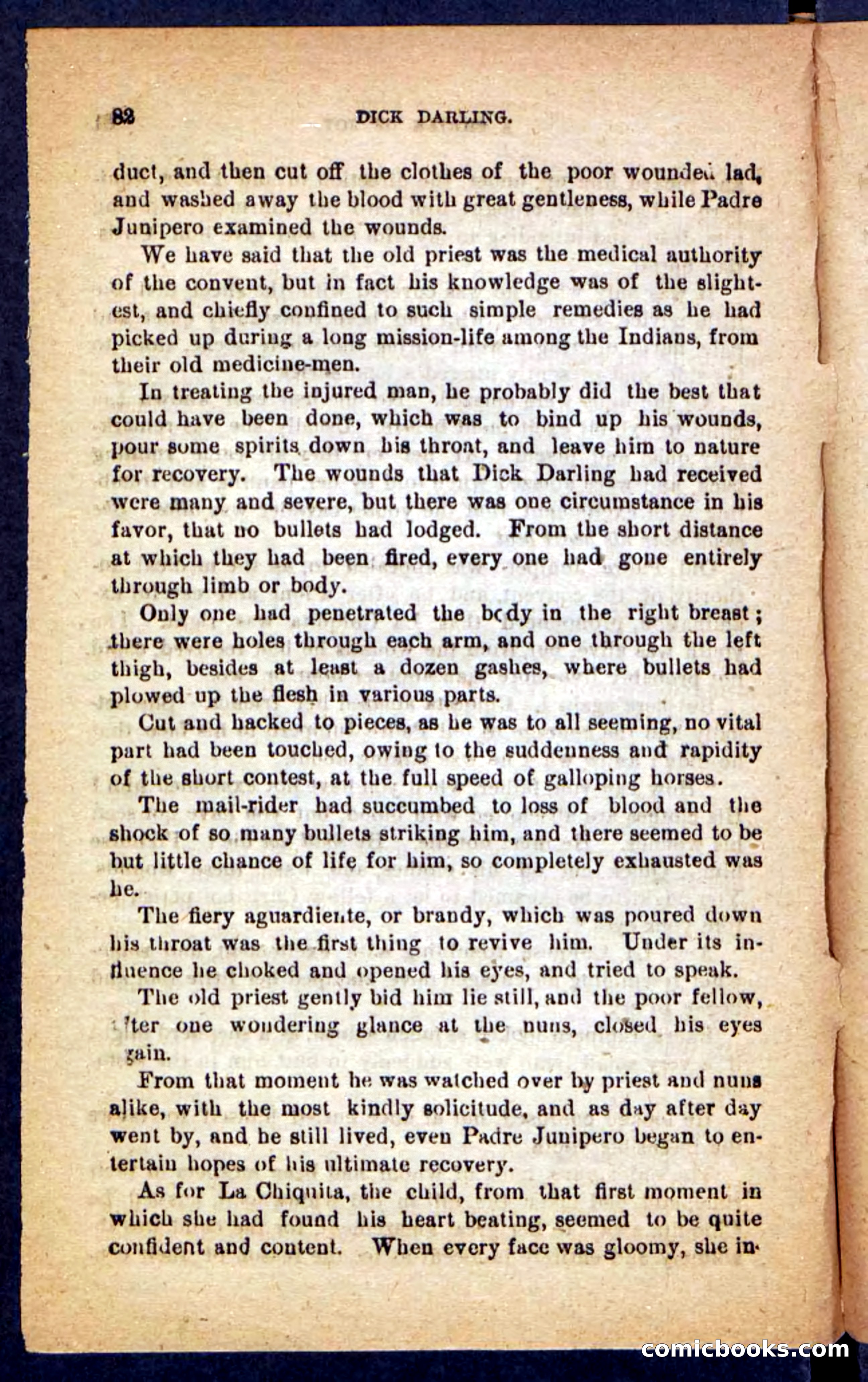 Beadle's Pocket Novels No. 221: Dick Darling — page 78 of 100