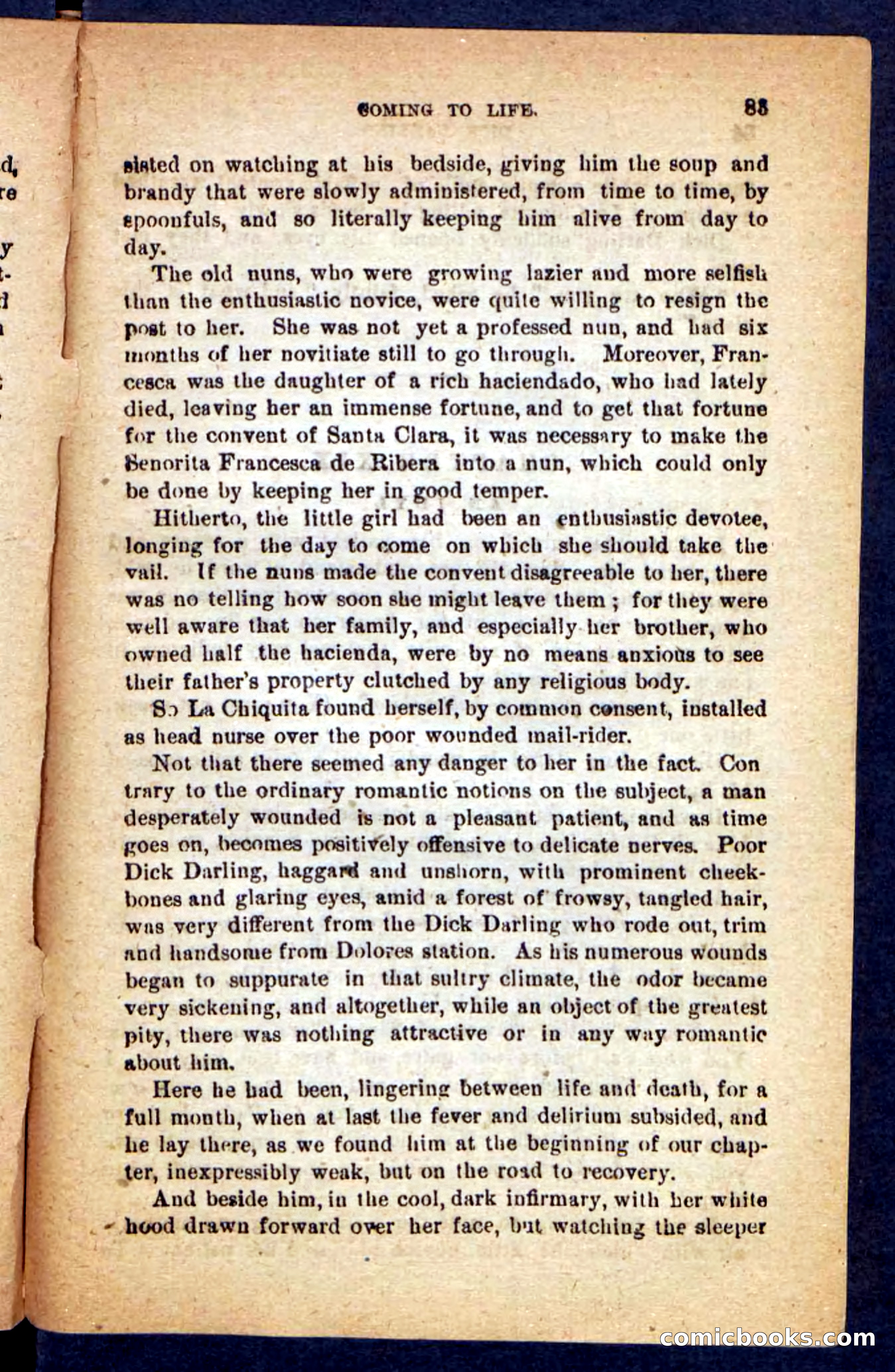 Beadle's Pocket Novels No. 221: Dick Darling — page 79 of 100
