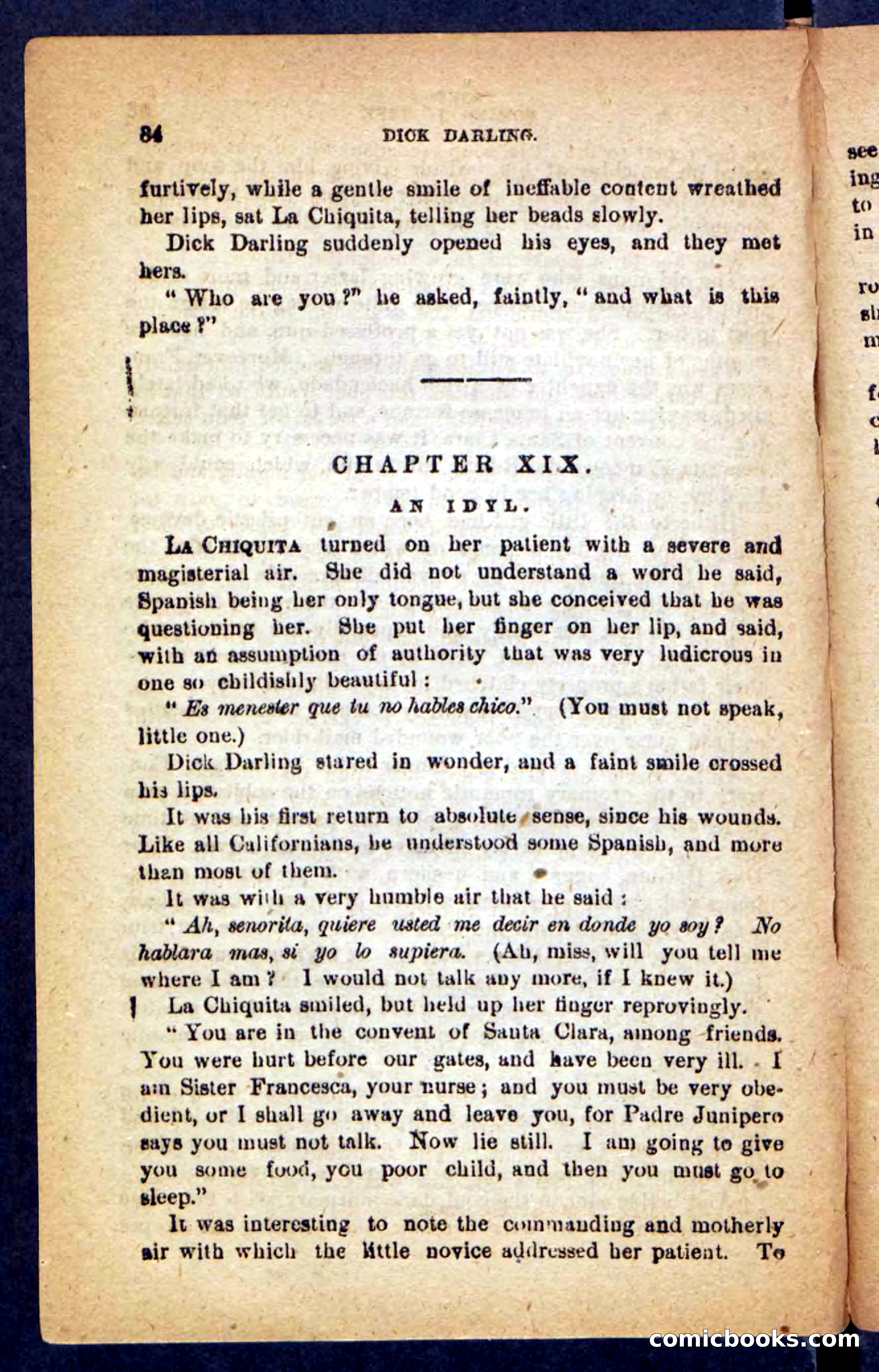 Beadle's Pocket Novels No. 221: Dick Darling — page 80 of 100