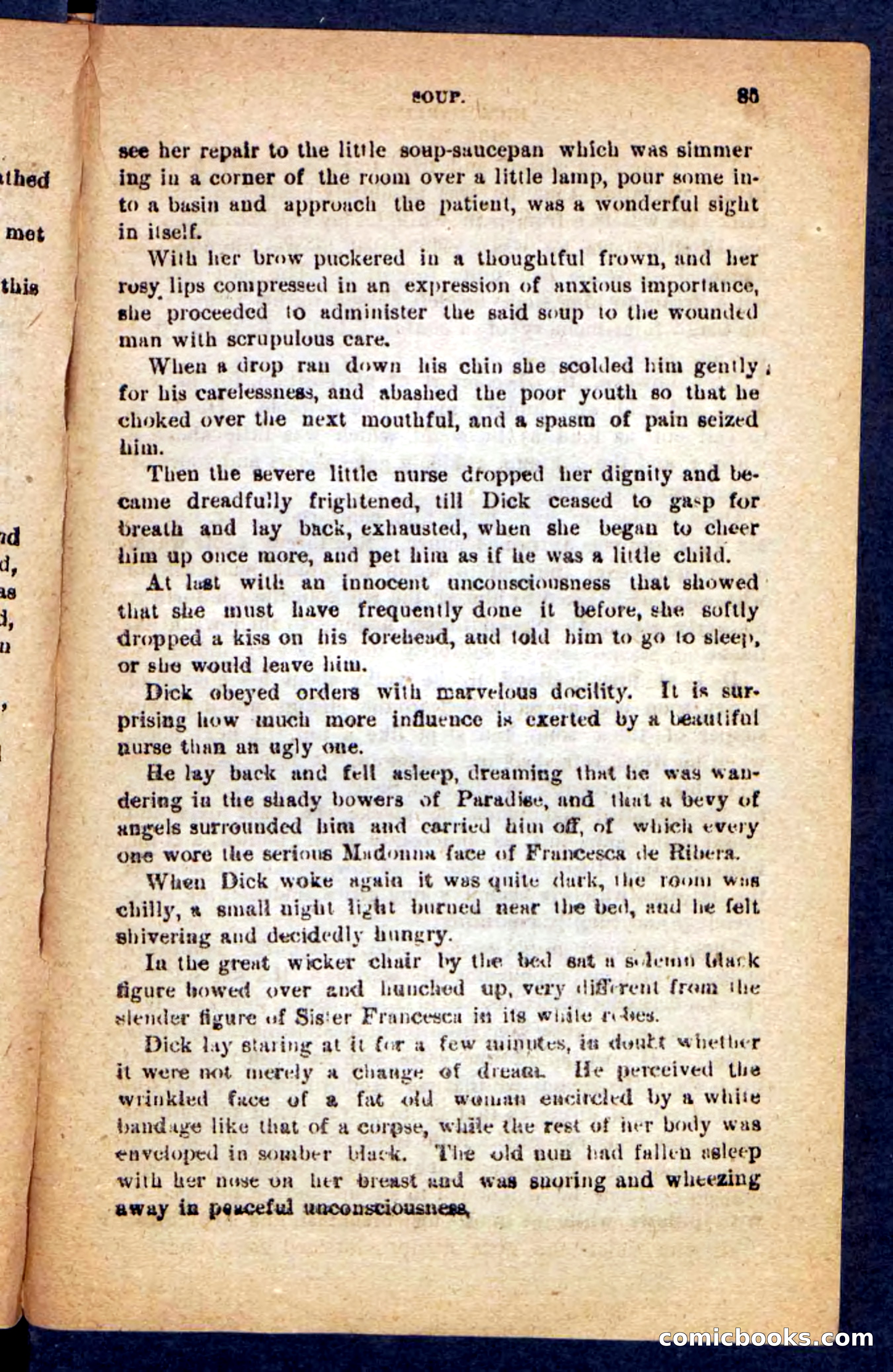 Beadle's Pocket Novels No. 221: Dick Darling — page 81 of 100