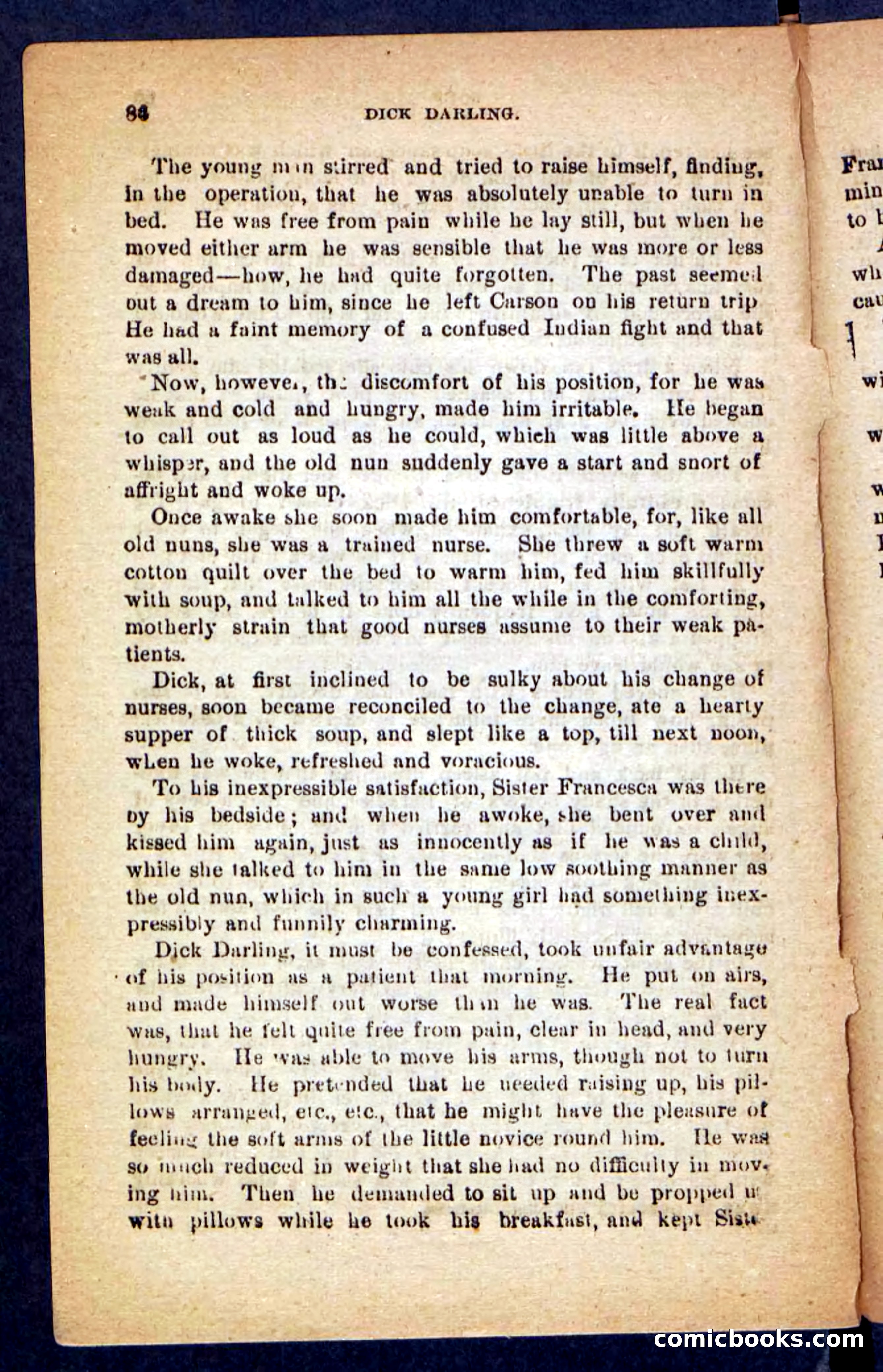 Beadle's Pocket Novels No. 221: Dick Darling — page 82 of 100