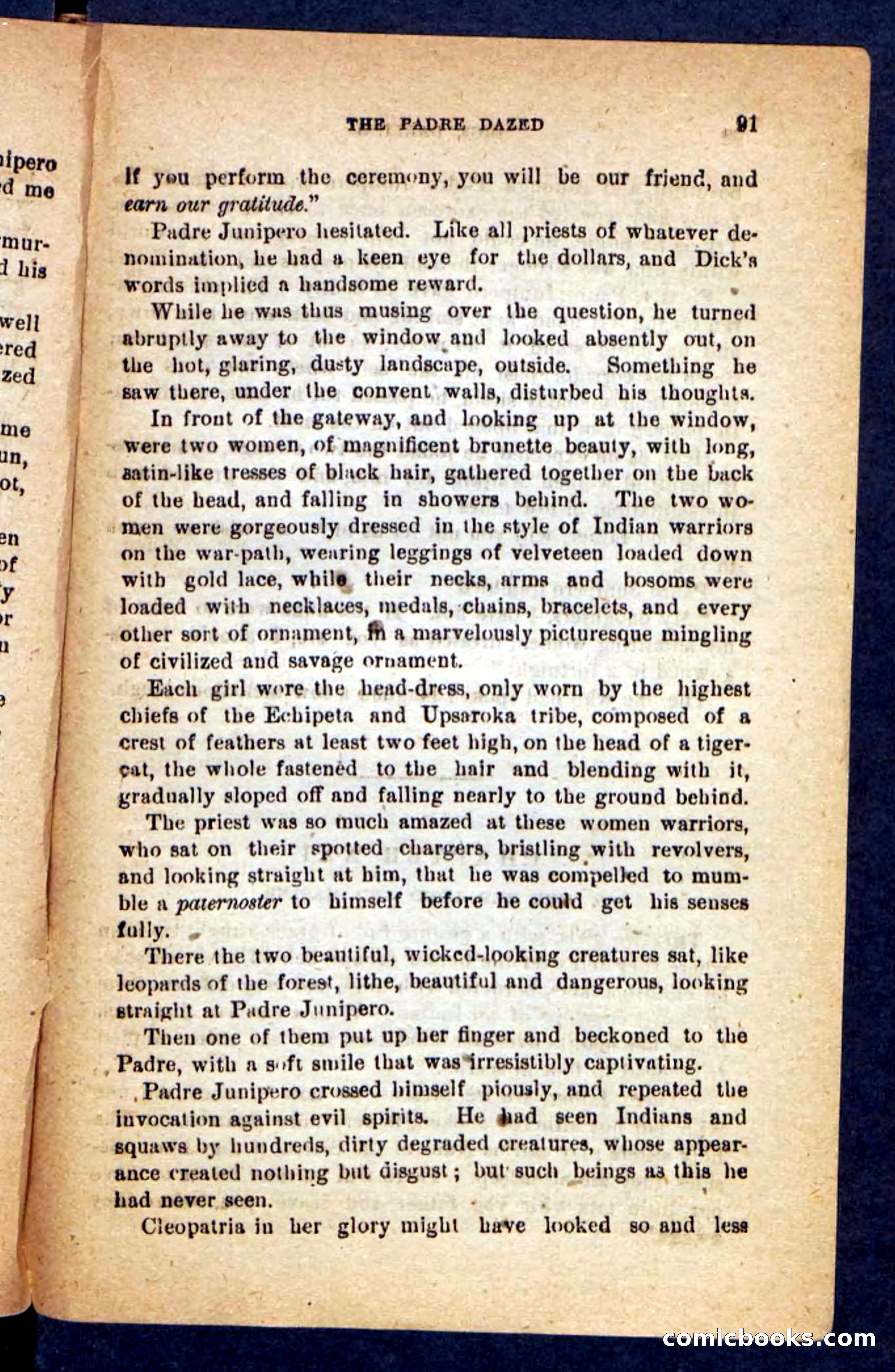 Beadle's Pocket Novels No. 221: Dick Darling — page 87 of 100