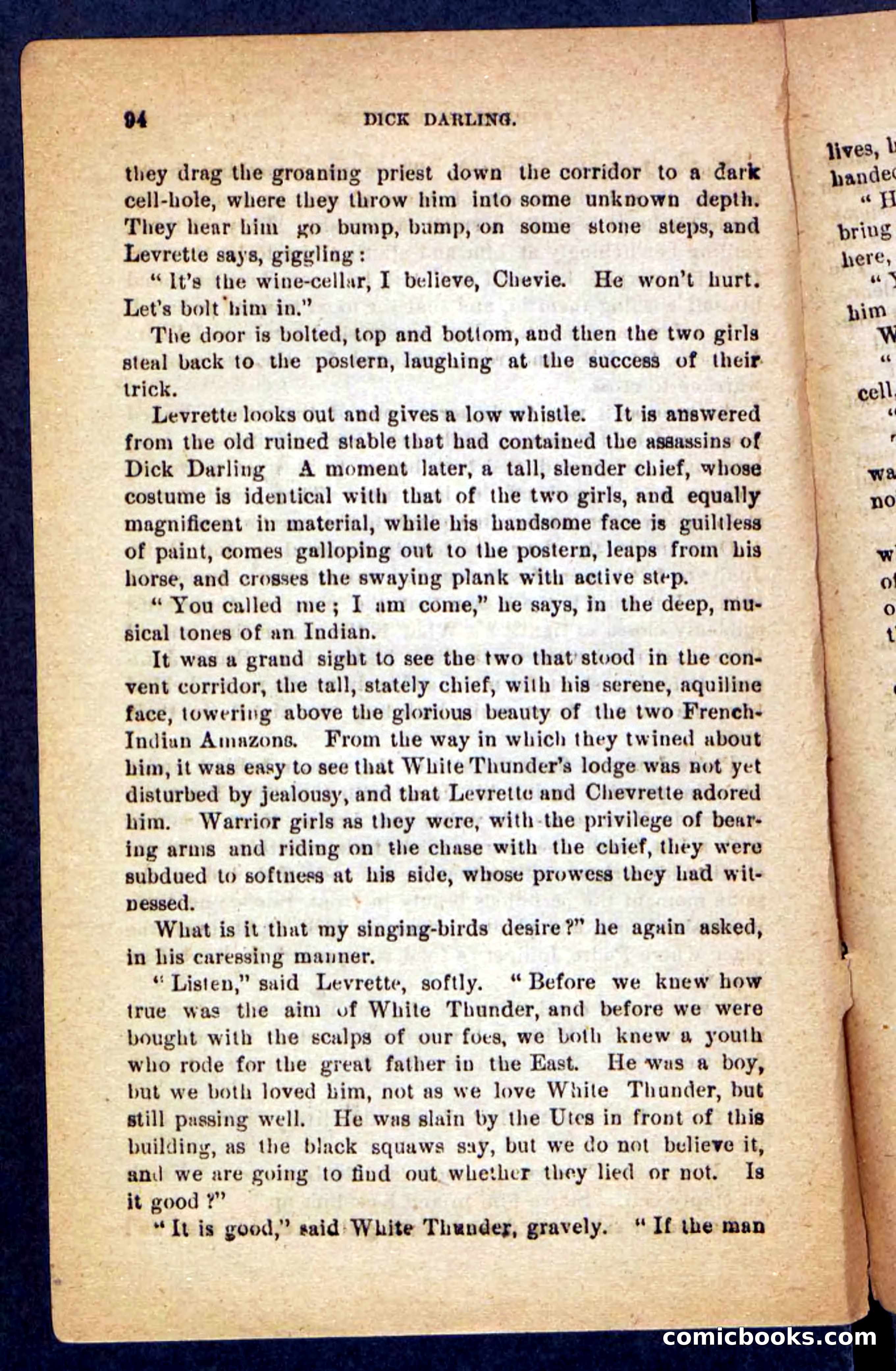 Beadle's Pocket Novels No. 221: Dick Darling — page 90 of 100