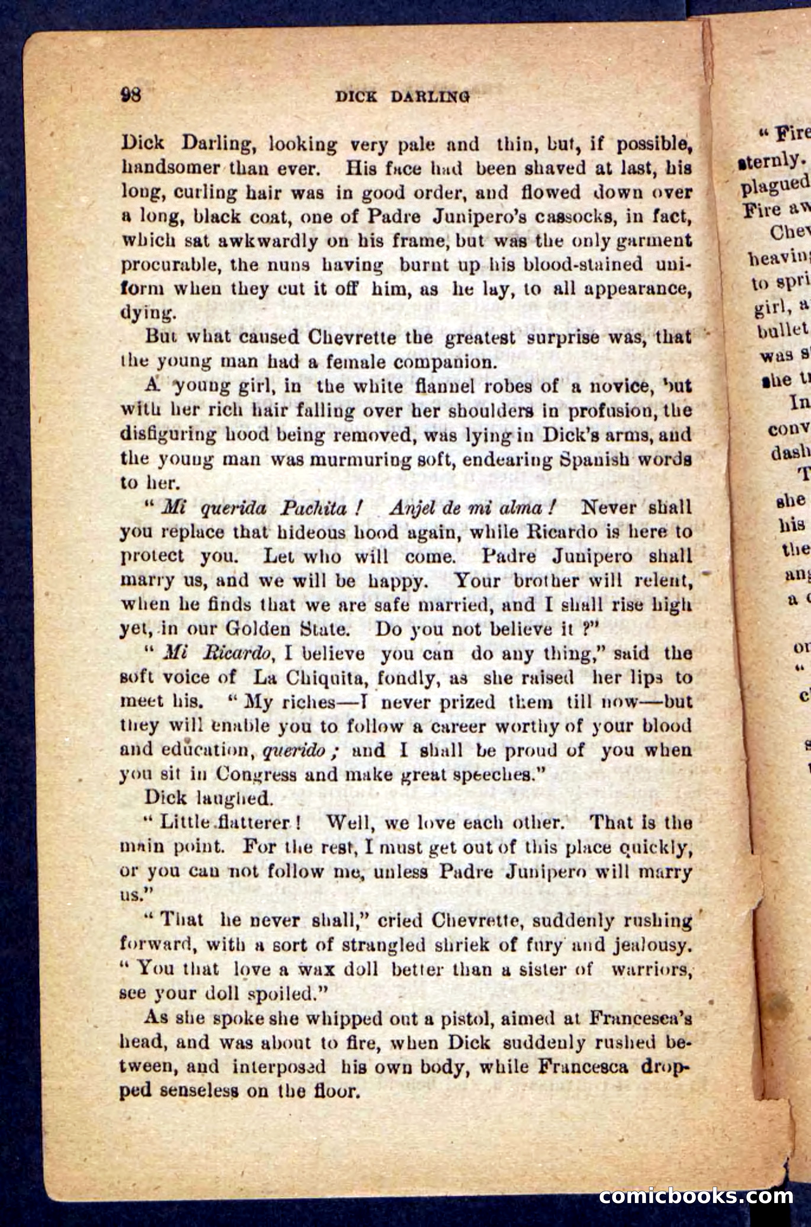 Beadle's Pocket Novels No. 221: Dick Darling — page 94 of 100