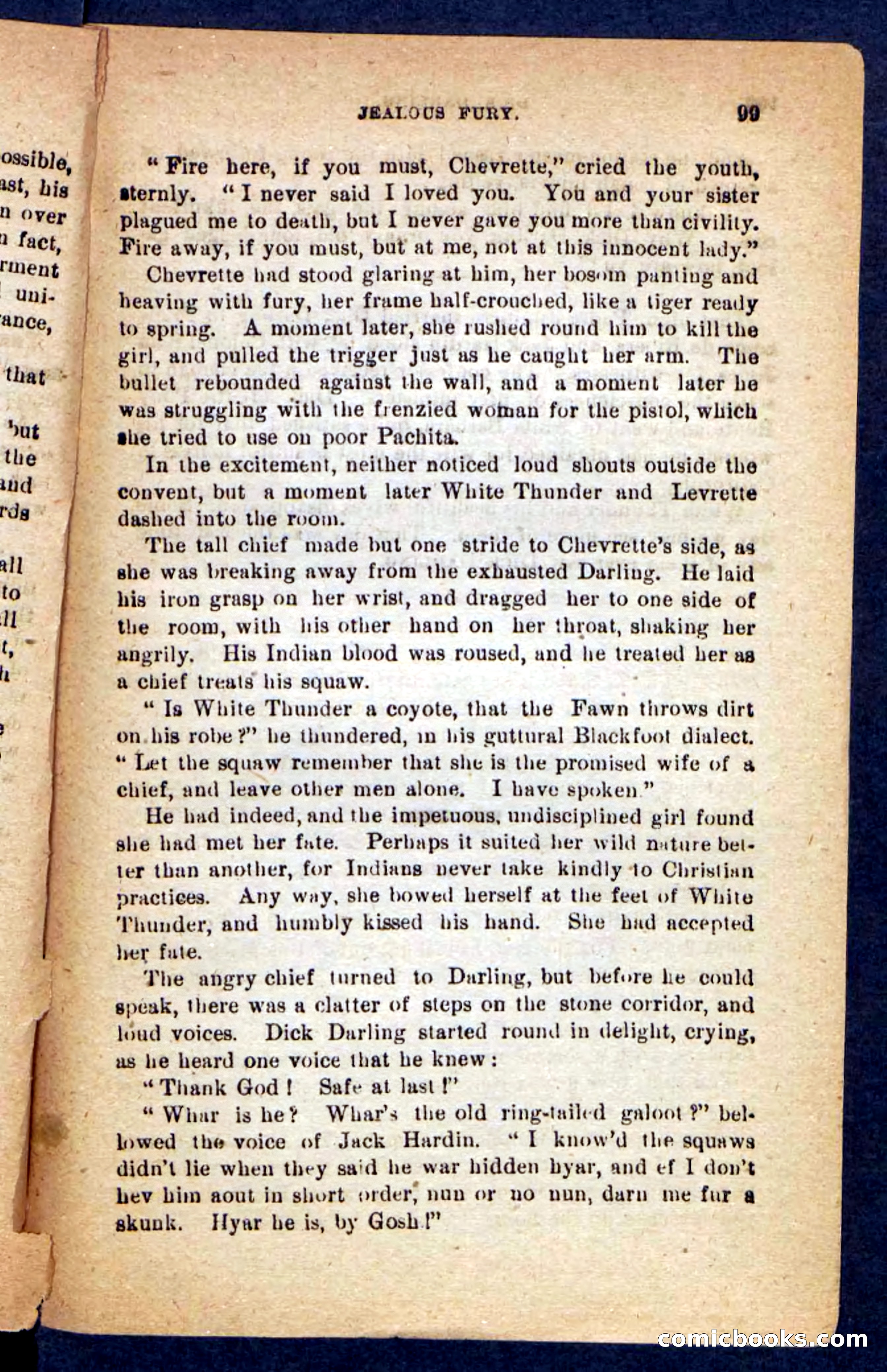 Beadle's Pocket Novels No. 221: Dick Darling — page 95 of 100