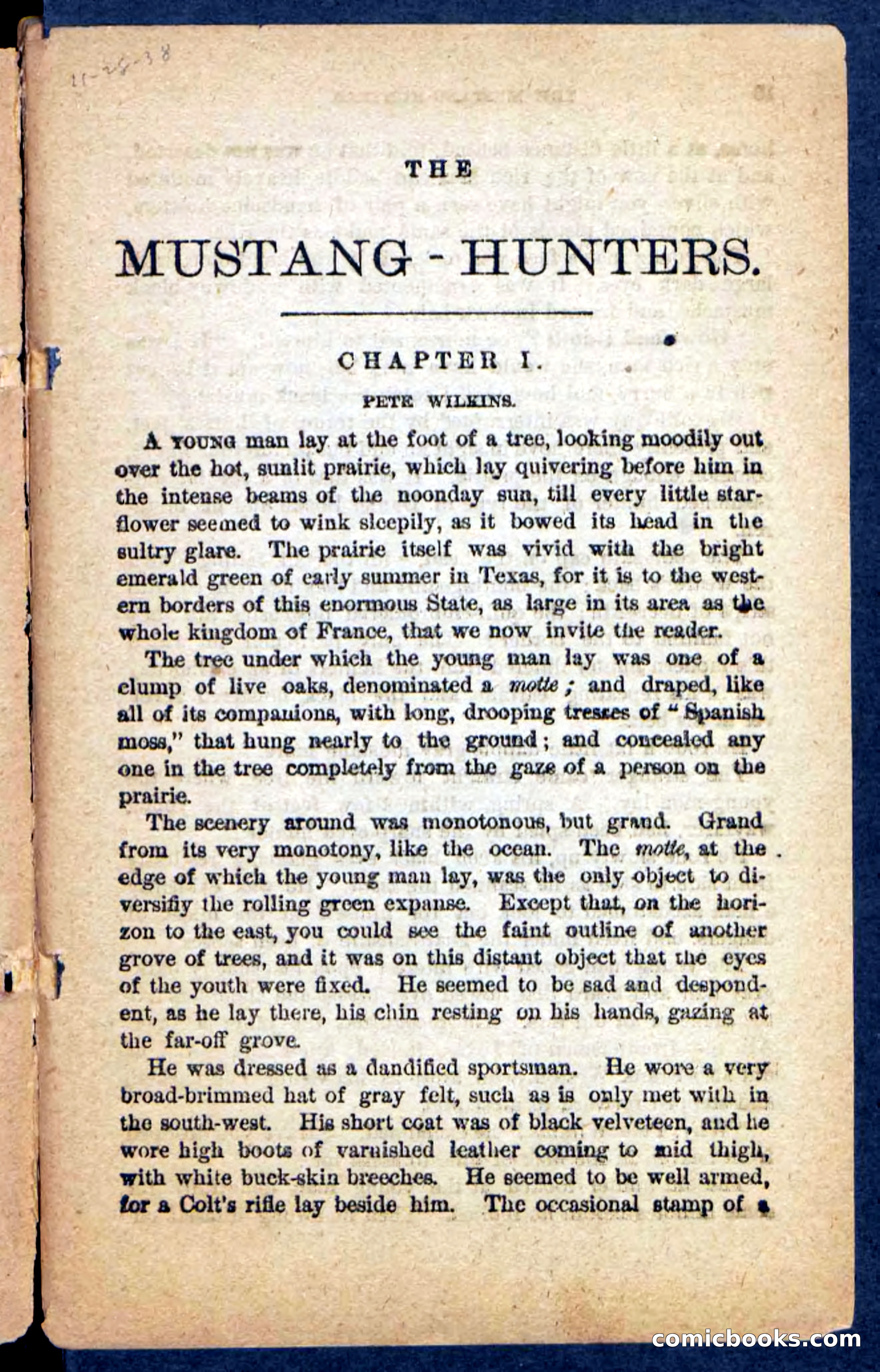 The Mustang-Hunters — page 5 of 100
