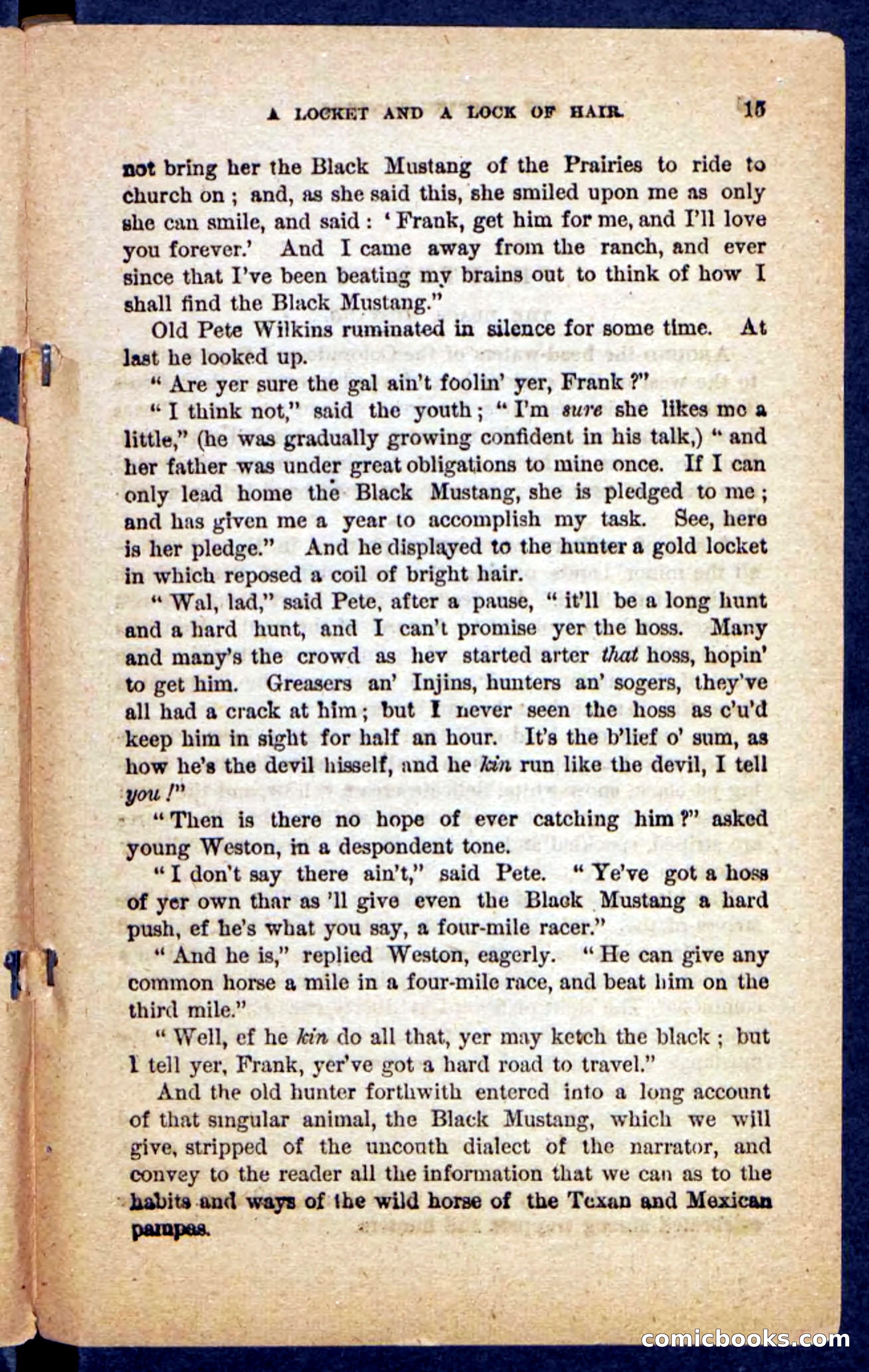 The Mustang-Hunters — page 11 of 100