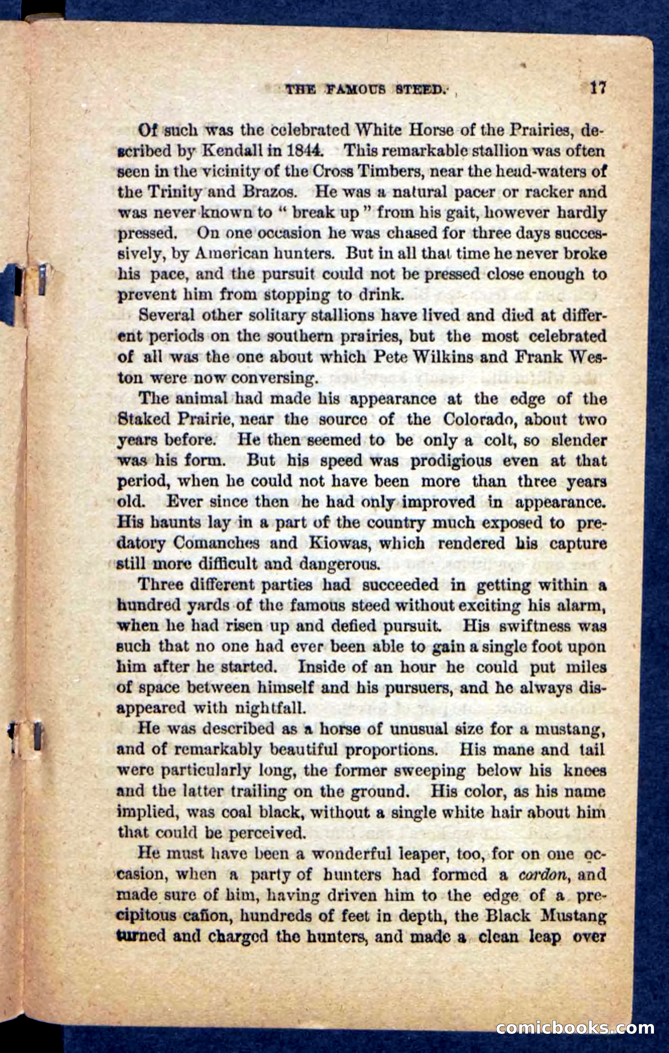 The Mustang-Hunters — page 13 of 100