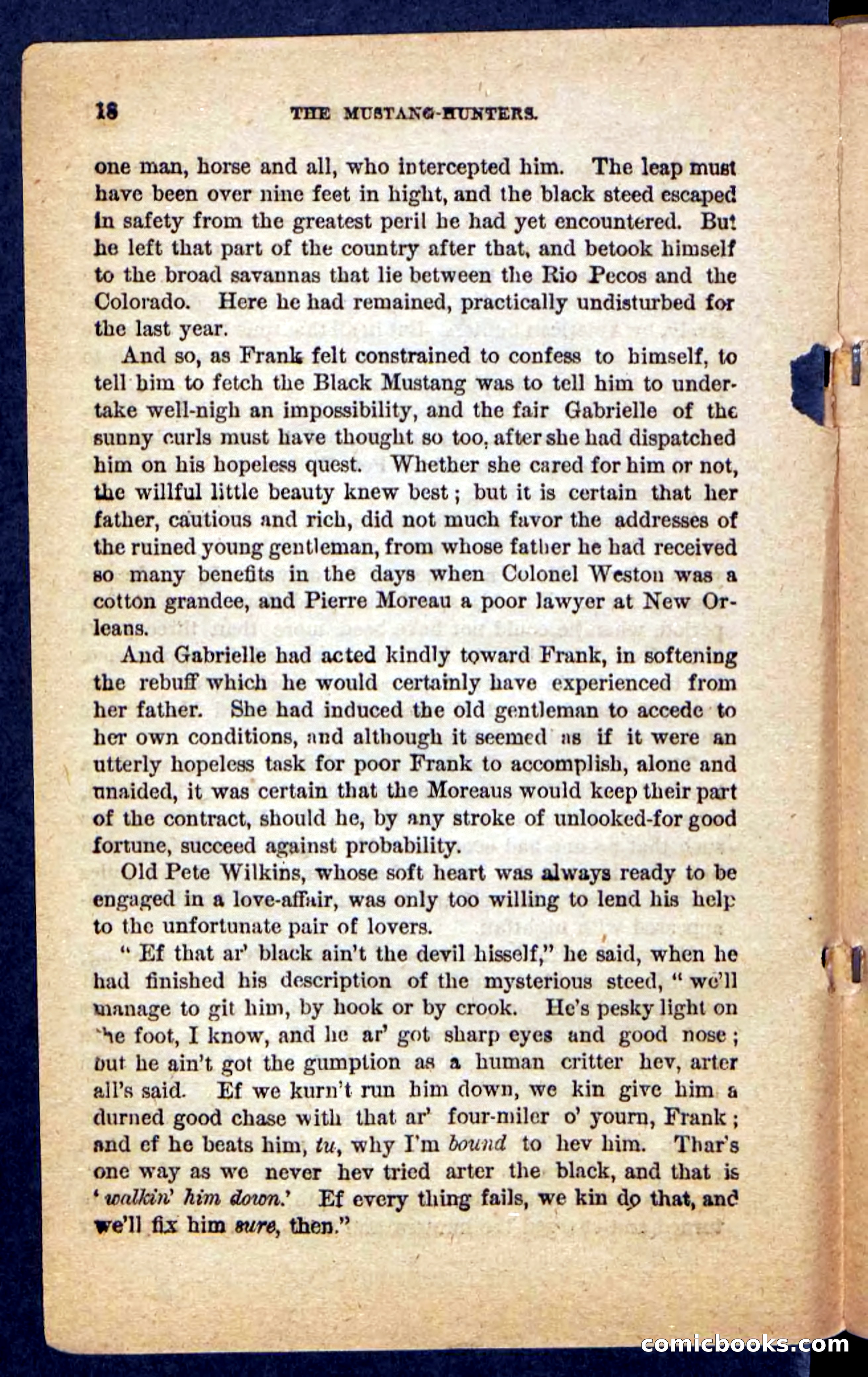 The Mustang-Hunters — page 14 of 100