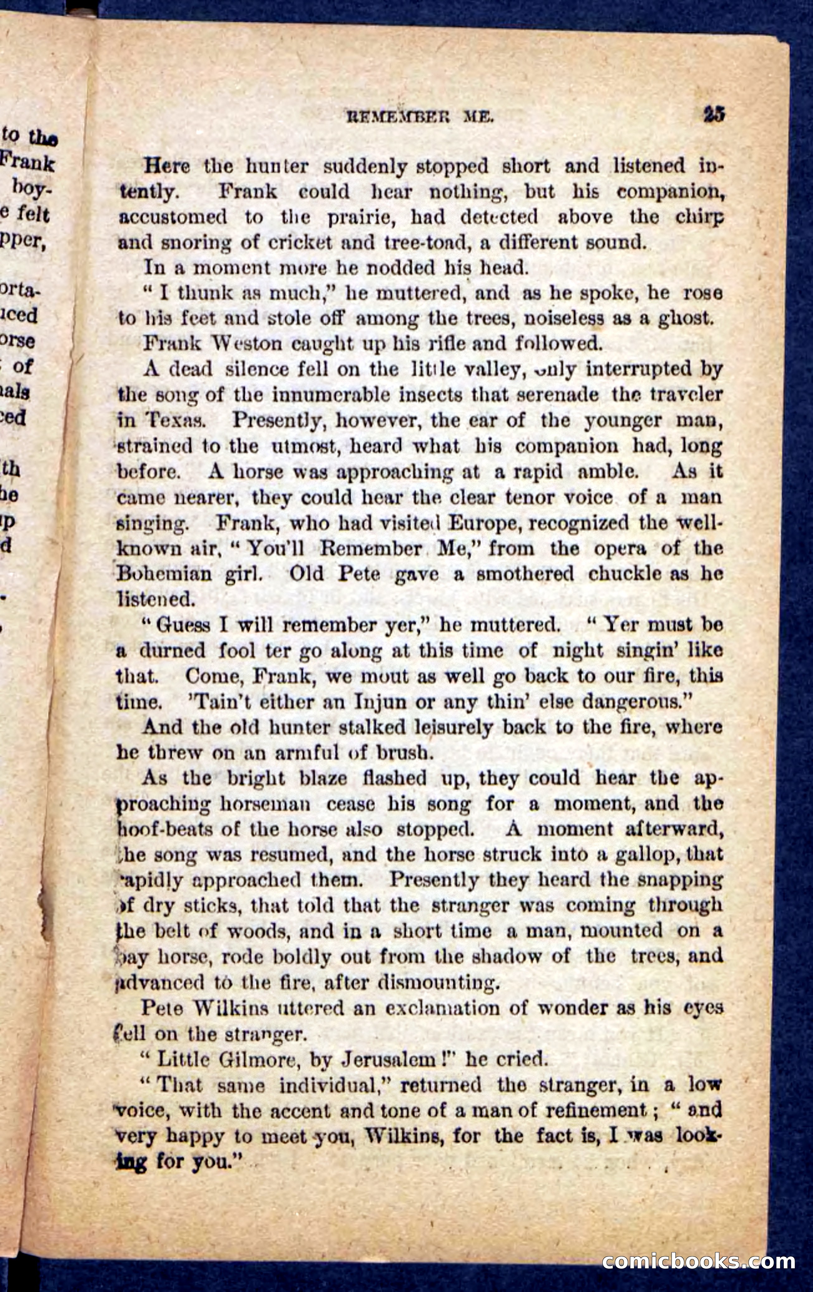 The Mustang-Hunters — page 21 of 100