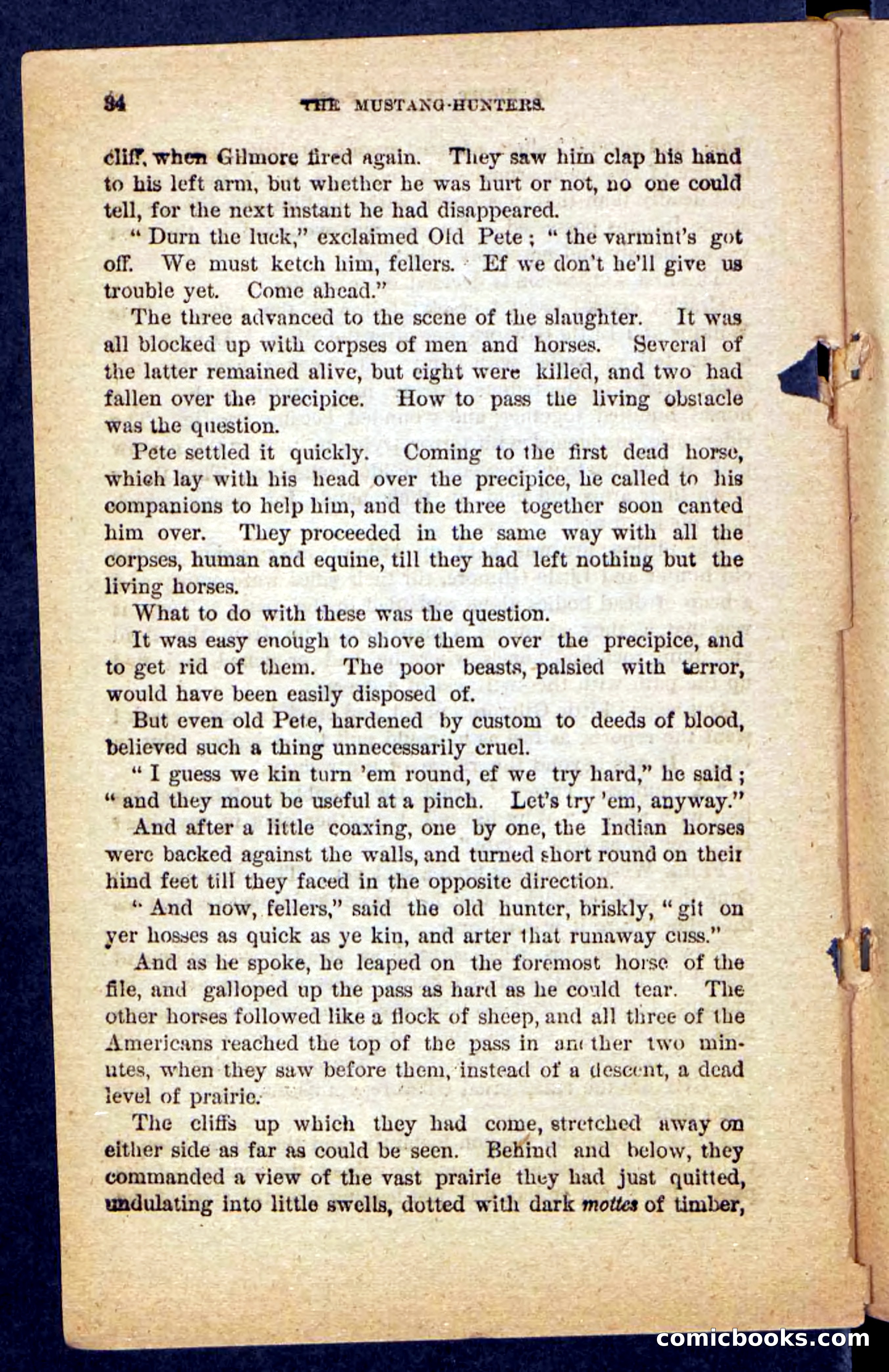 The Mustang-Hunters — page 30 of 100