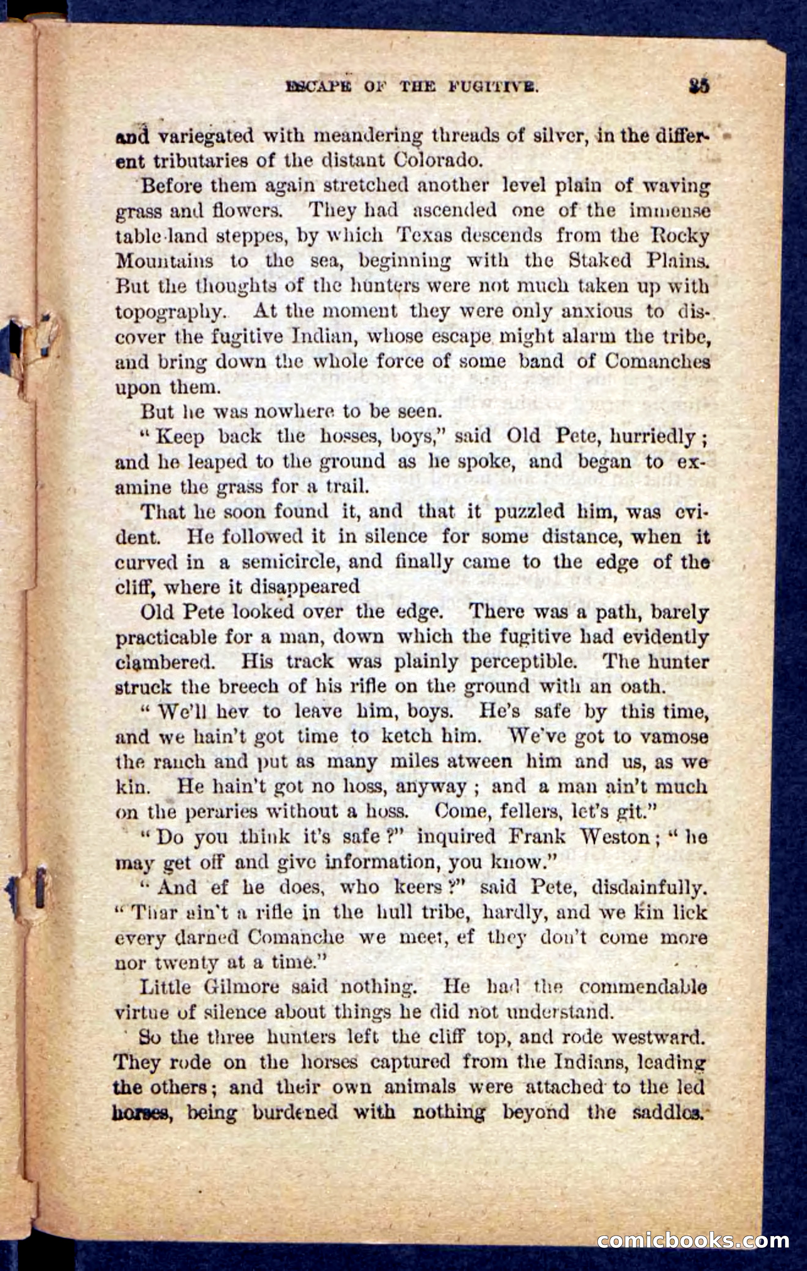 The Mustang-Hunters — page 31 of 100