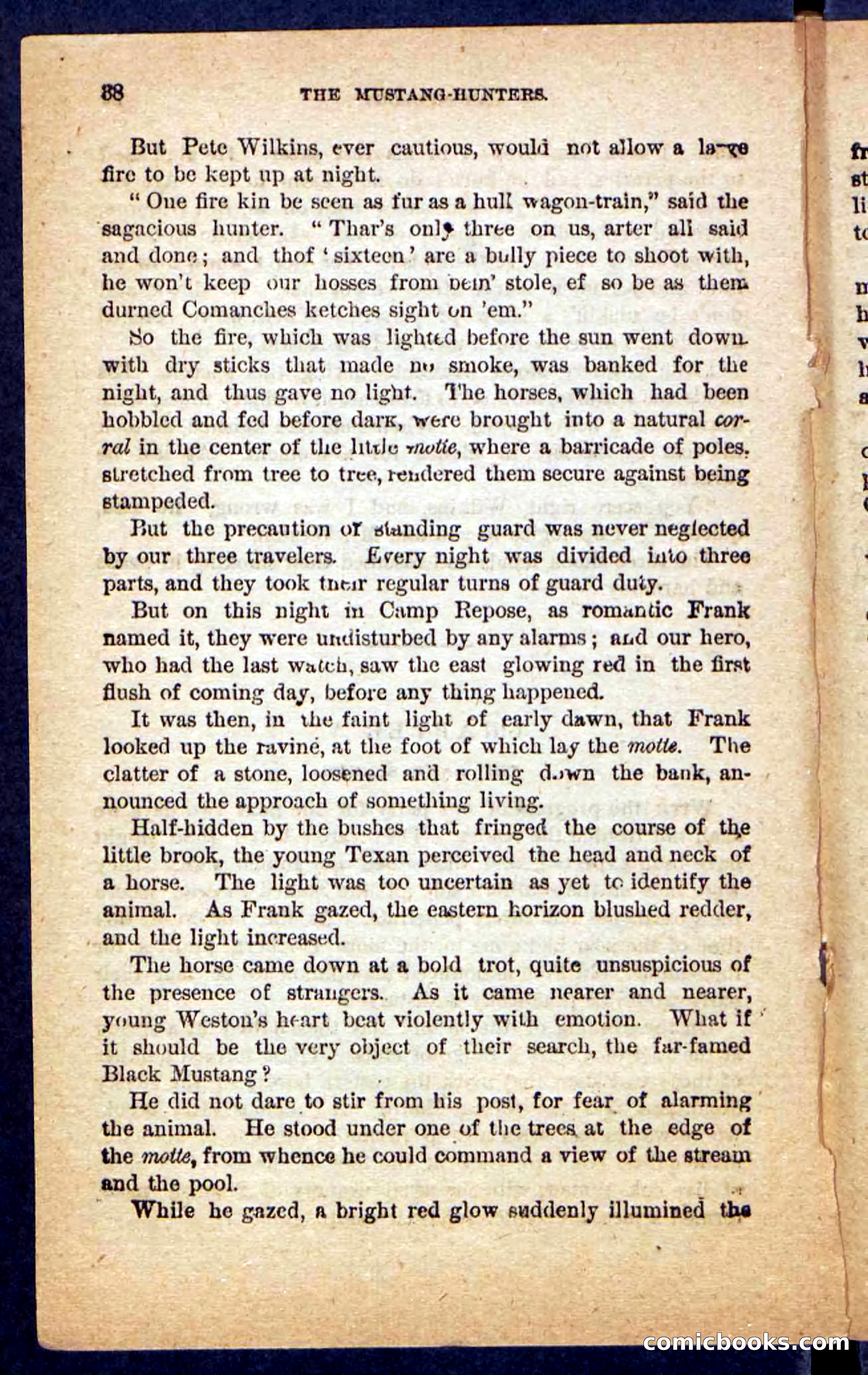 The Mustang-Hunters — page 34 of 100