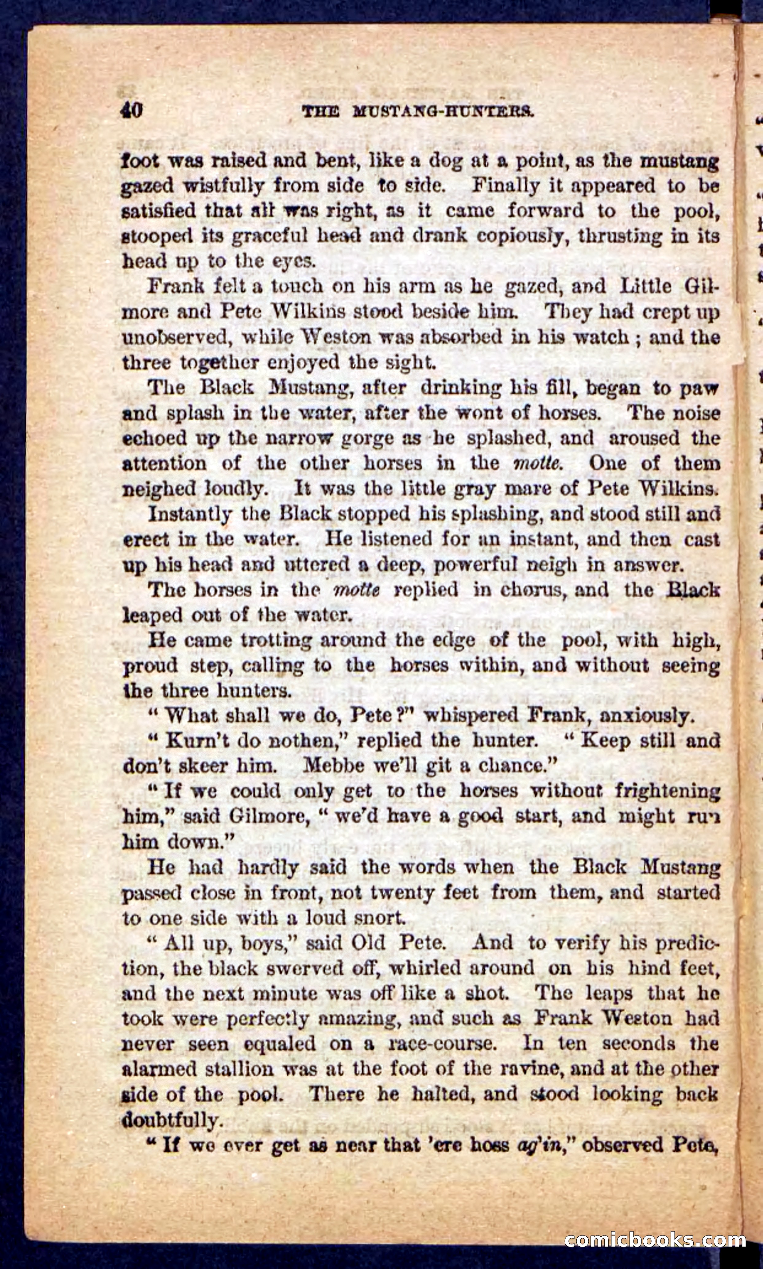 The Mustang-Hunters — page 36 of 100