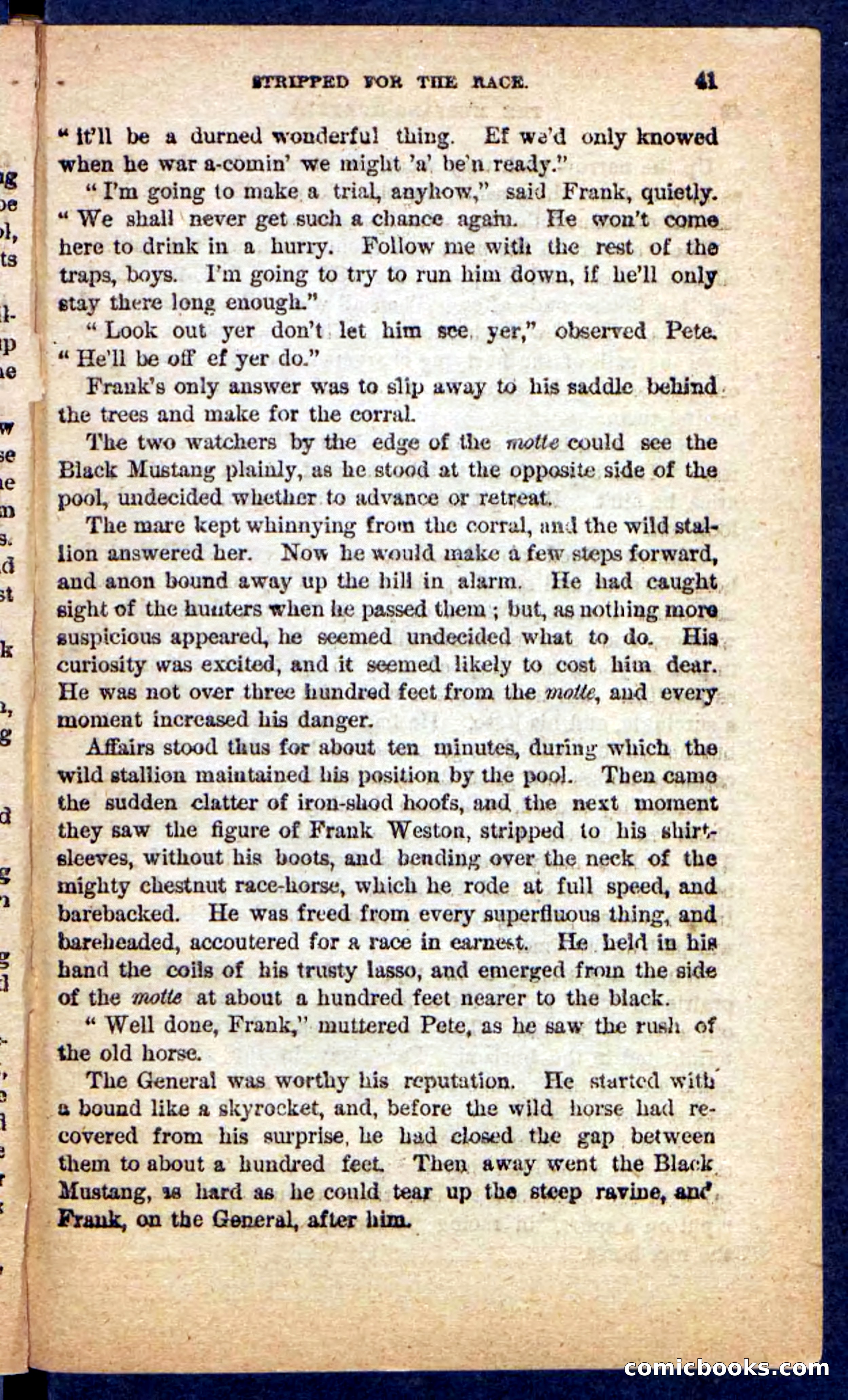 The Mustang-Hunters — page 37 of 100