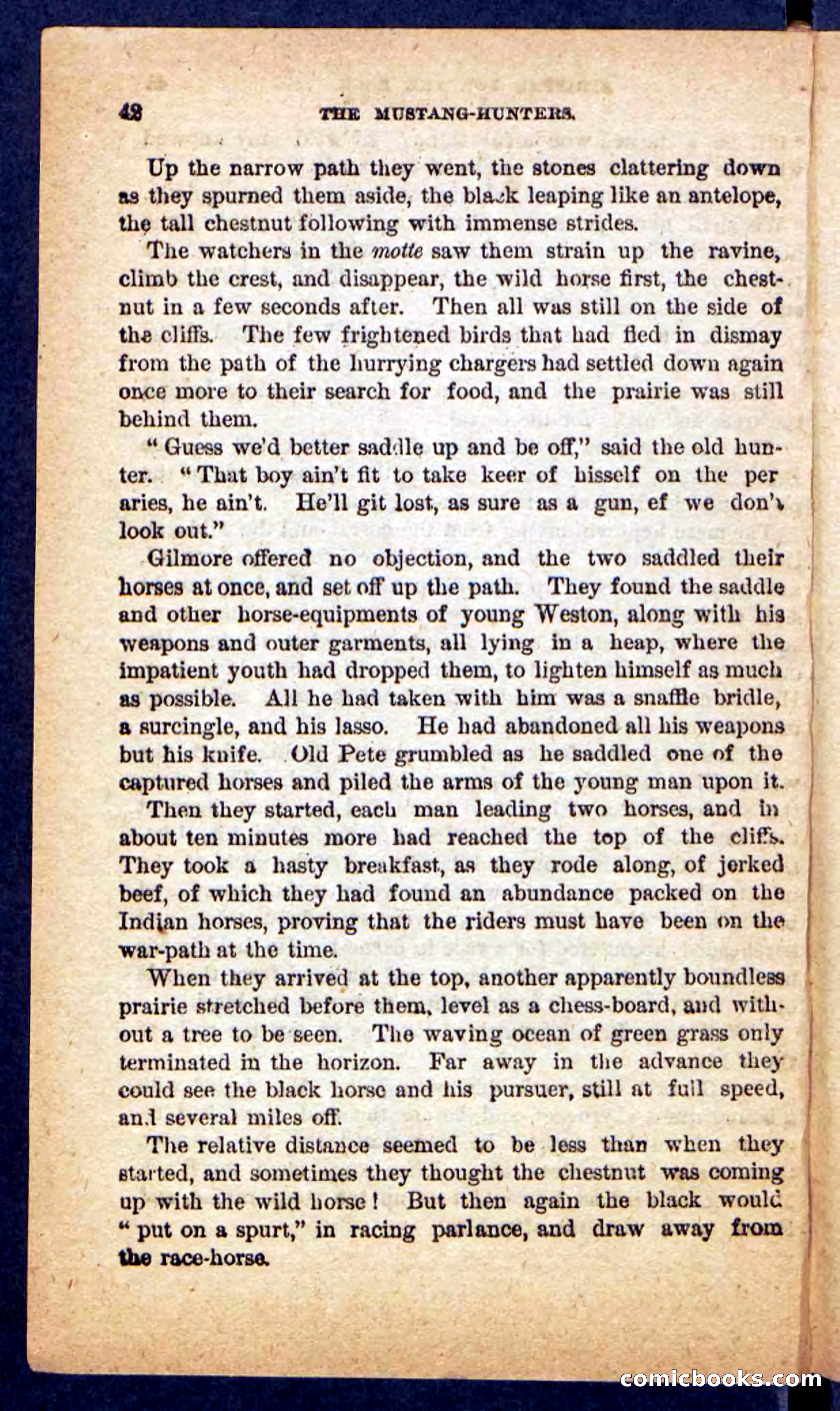 The Mustang-Hunters — page 38 of 100