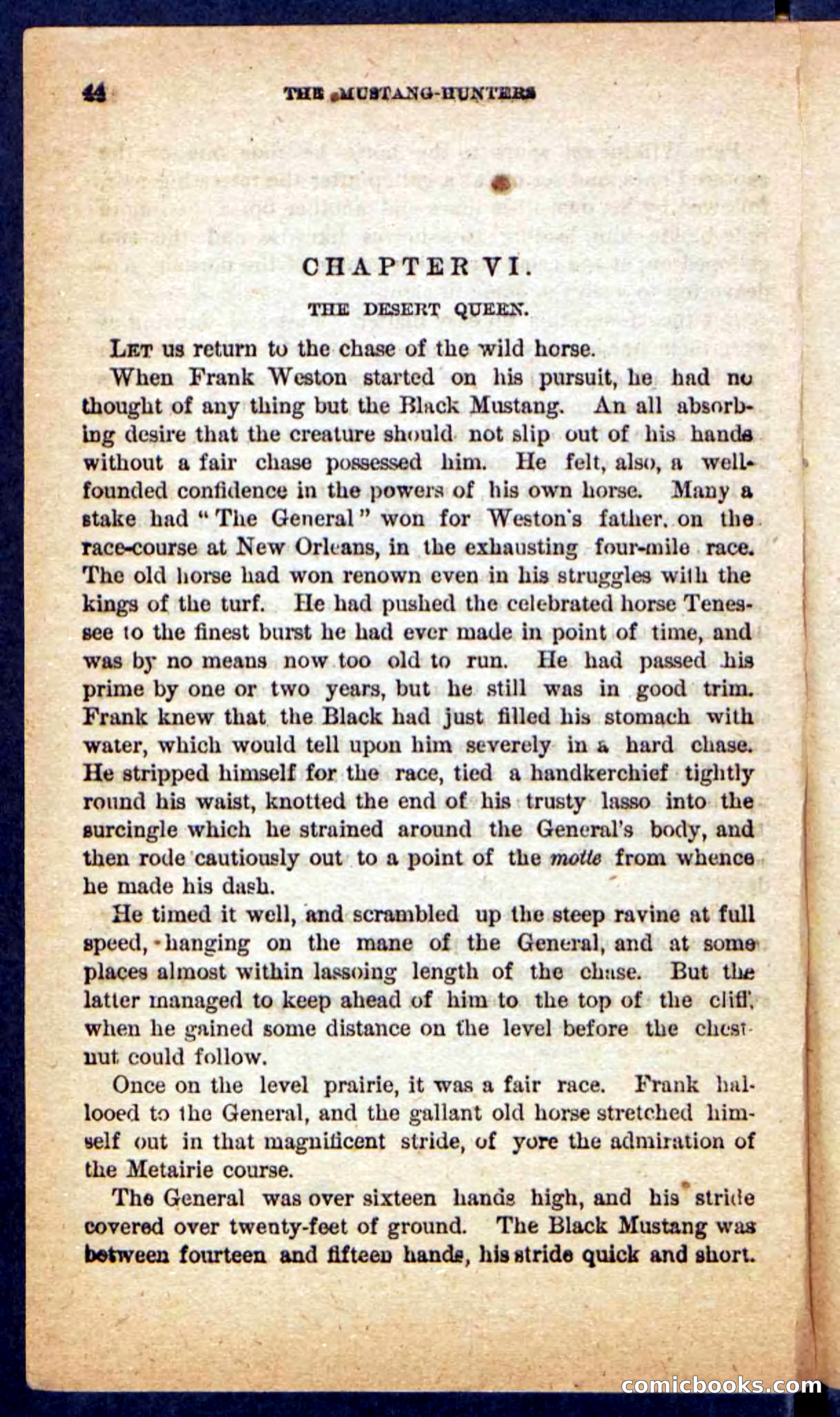 The Mustang-Hunters — page 40 of 100