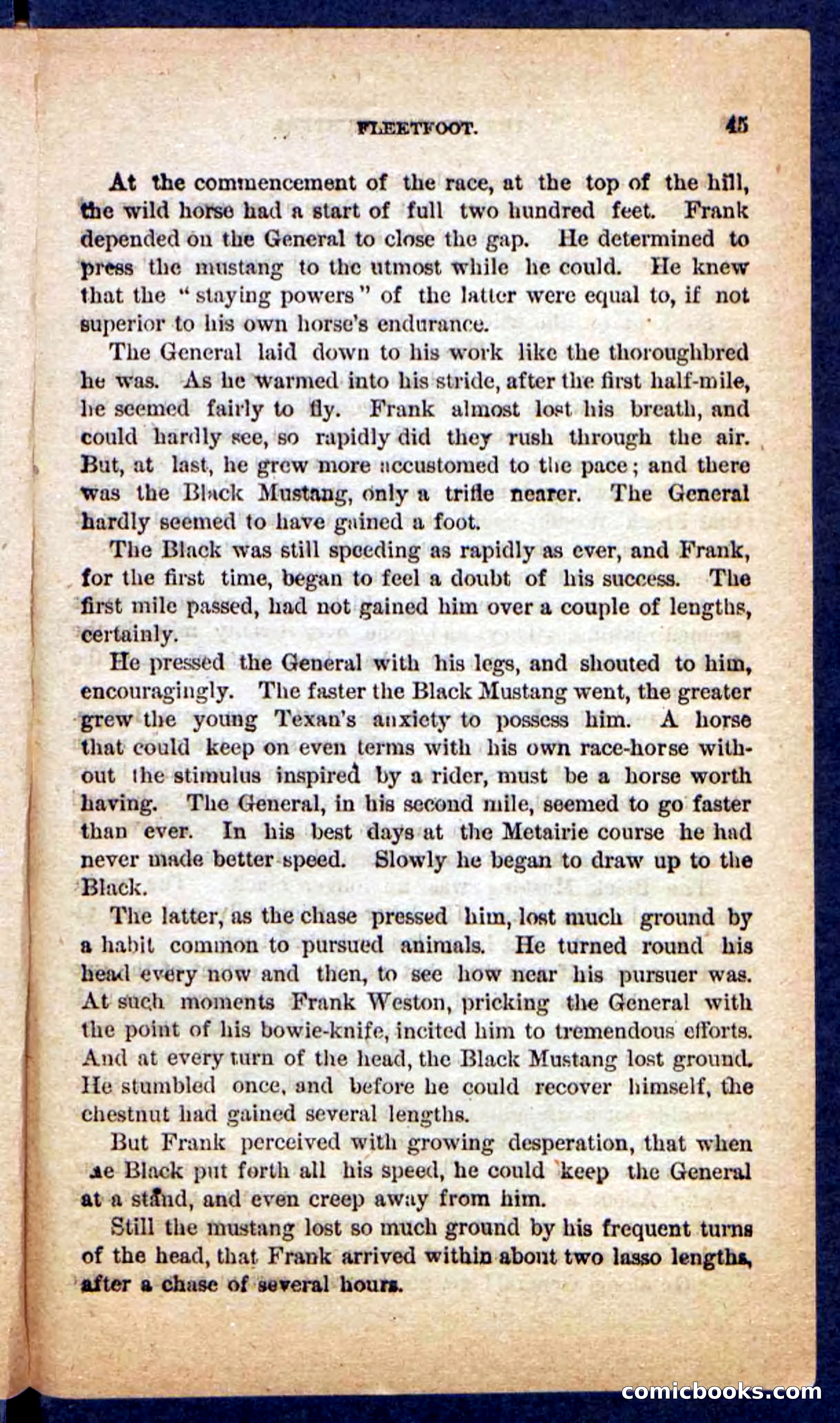 The Mustang-Hunters — page 41 of 100