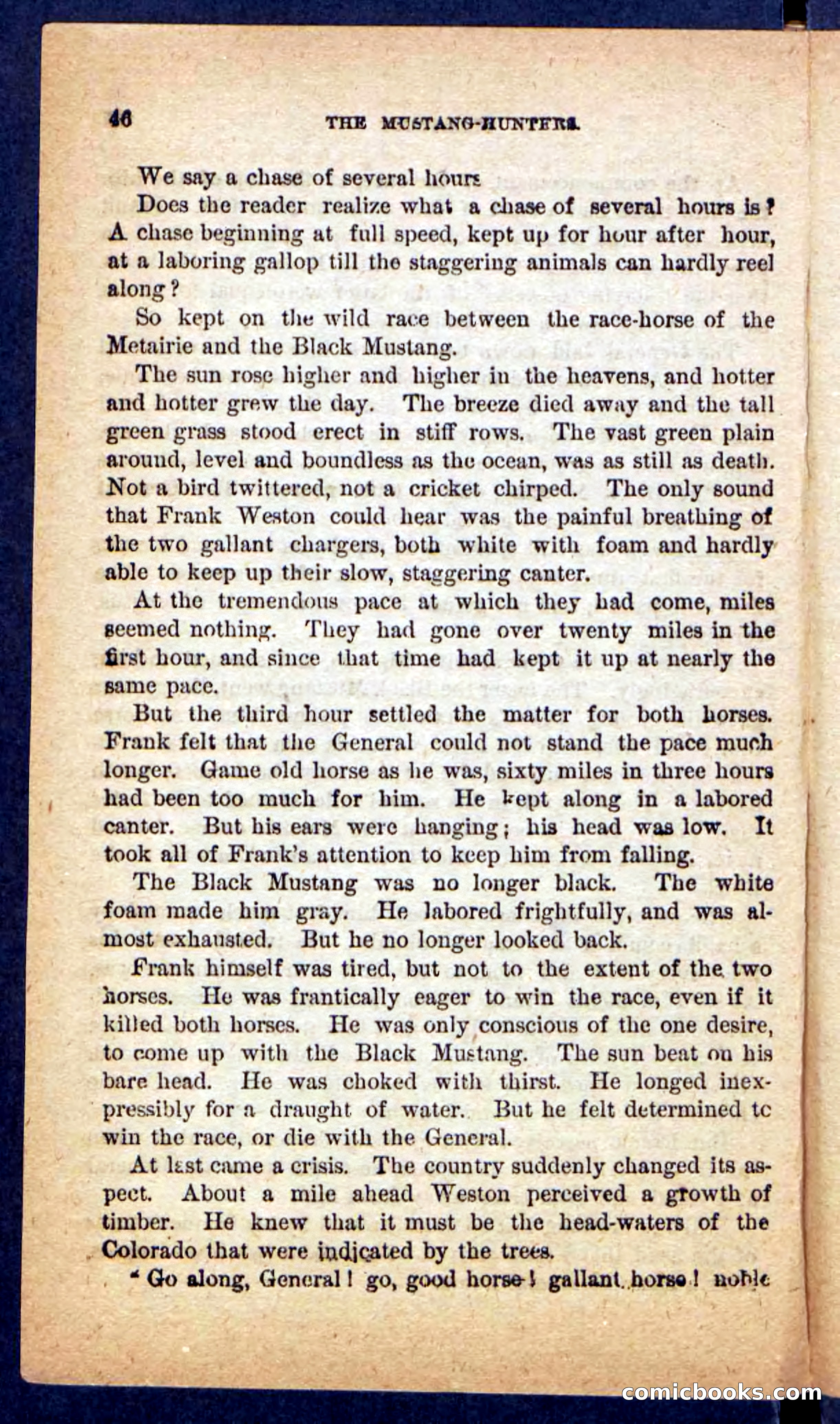 The Mustang-Hunters — page 42 of 100