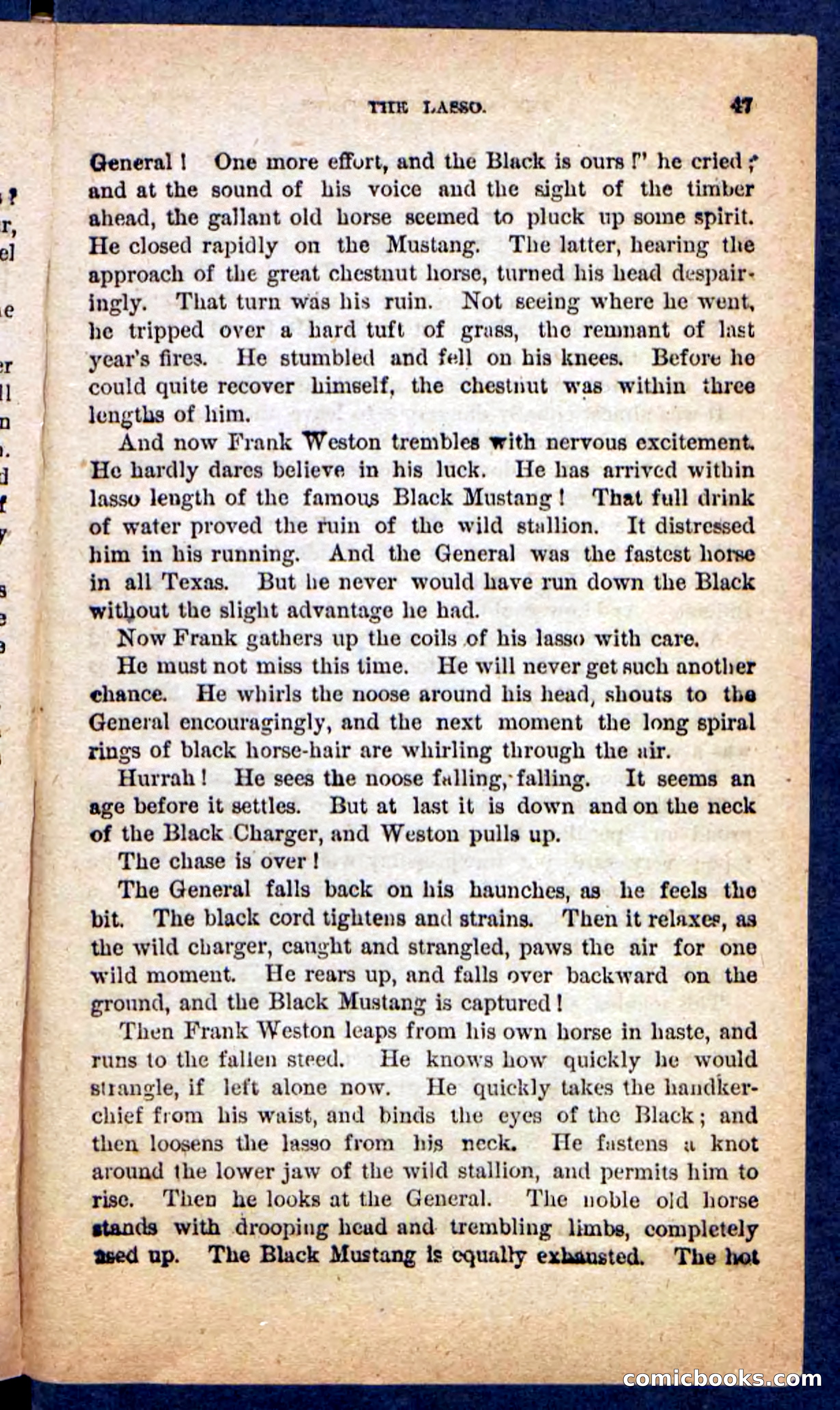 The Mustang-Hunters — page 43 of 100
