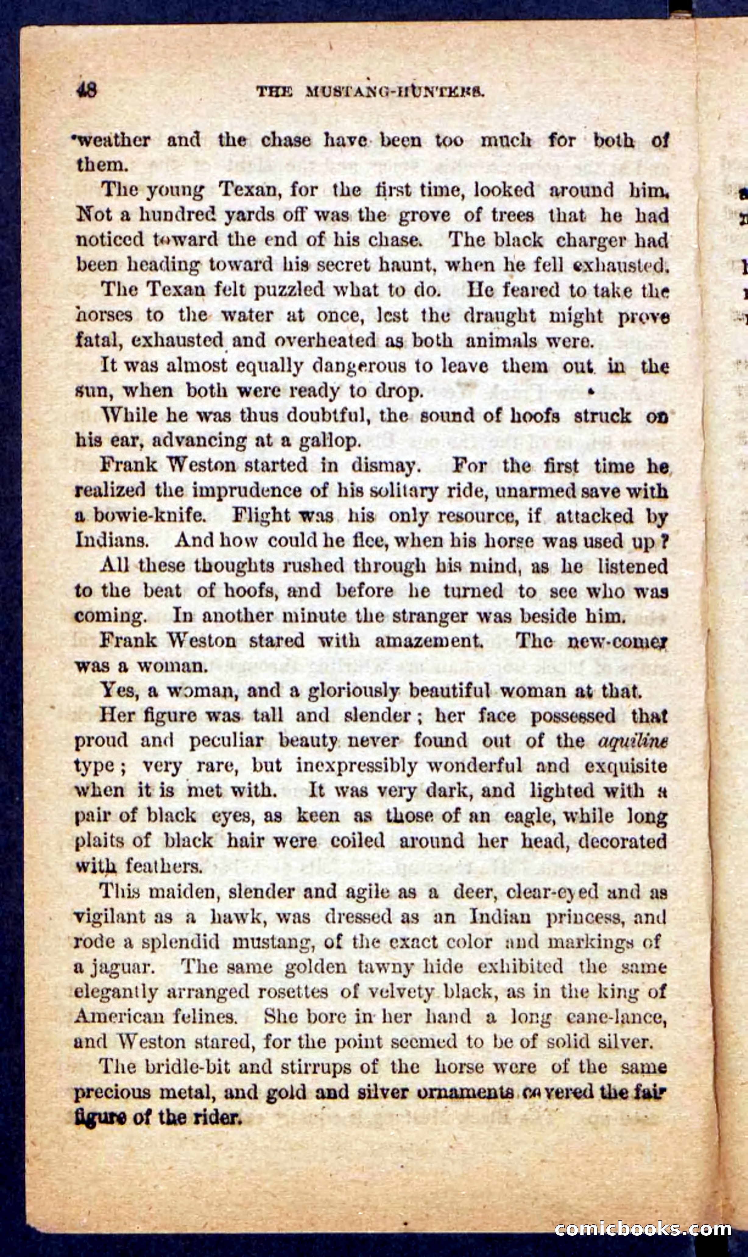 The Mustang-Hunters — page 44 of 100