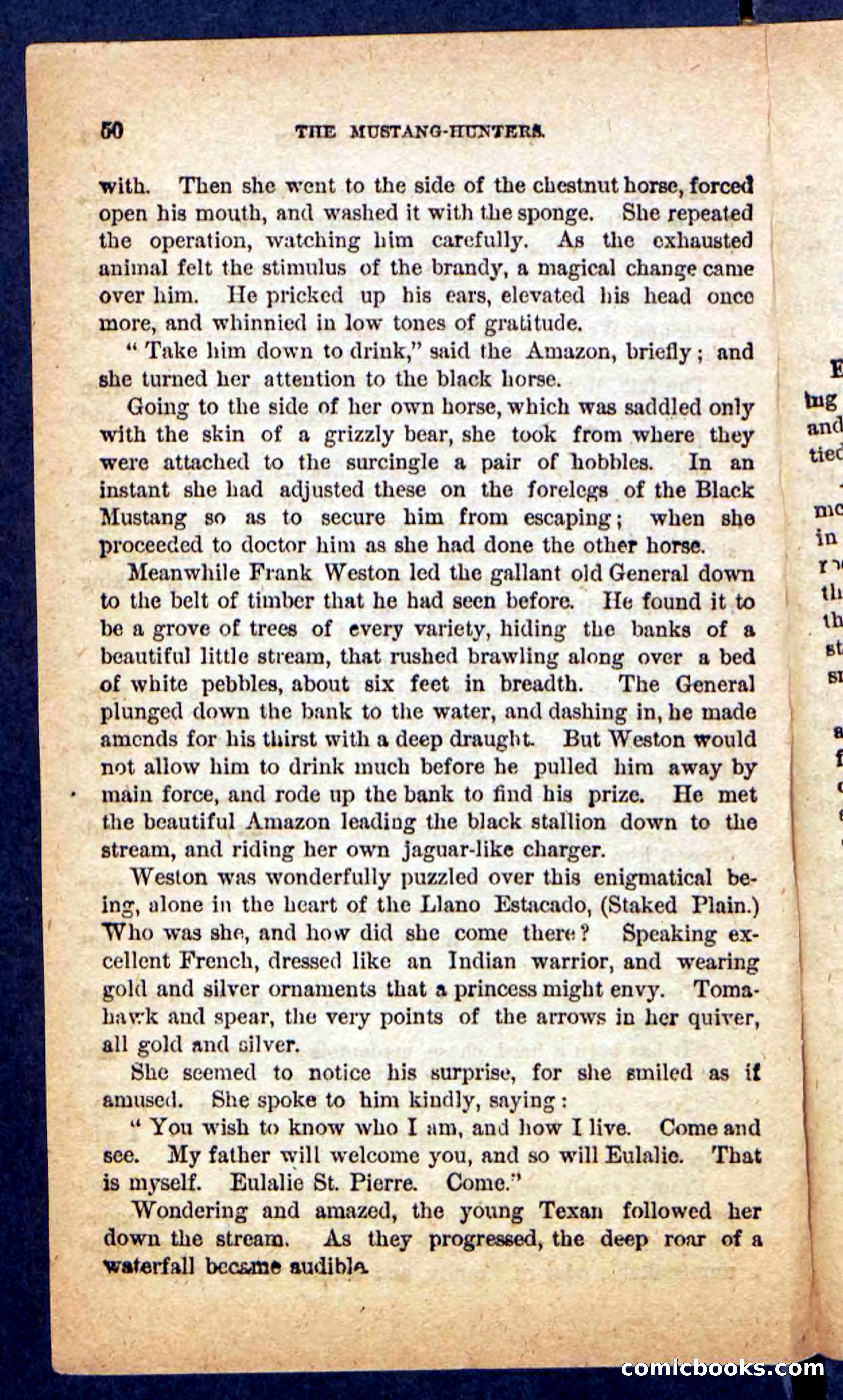 The Mustang-Hunters — page 46 of 100