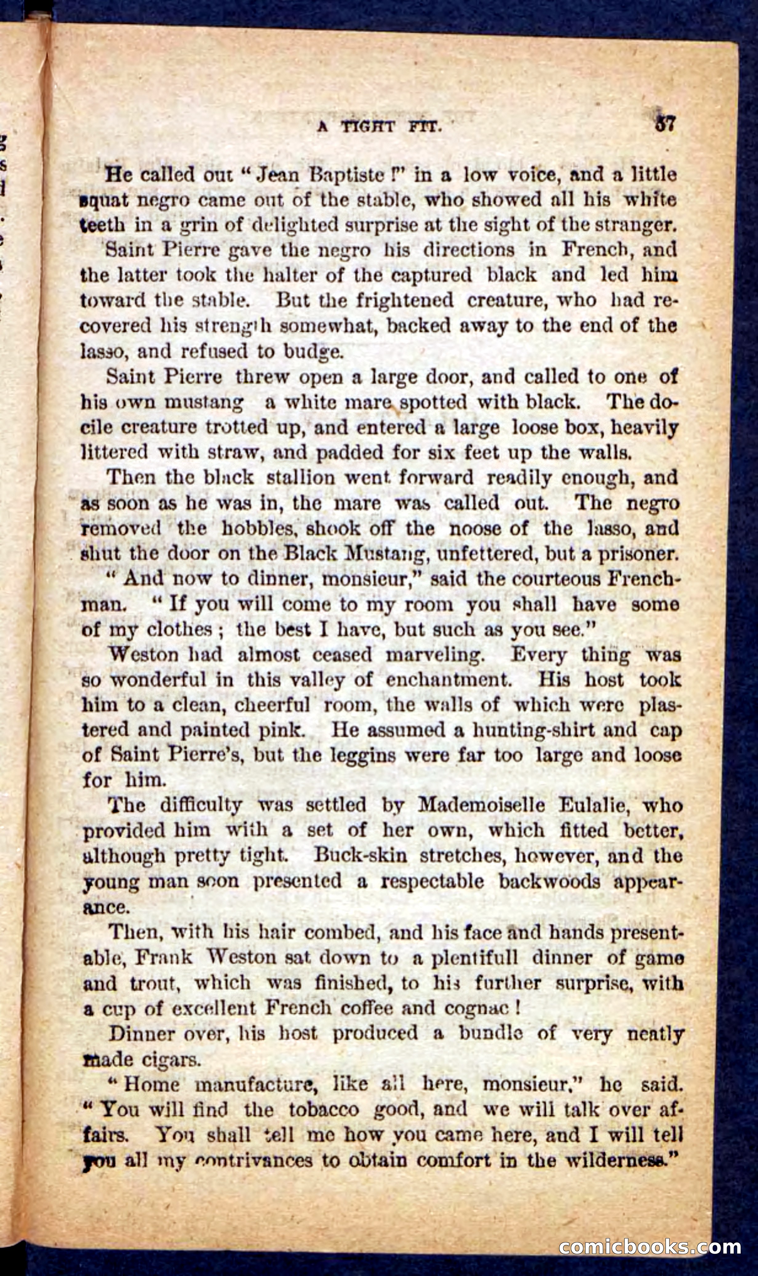The Mustang-Hunters — page 53 of 100