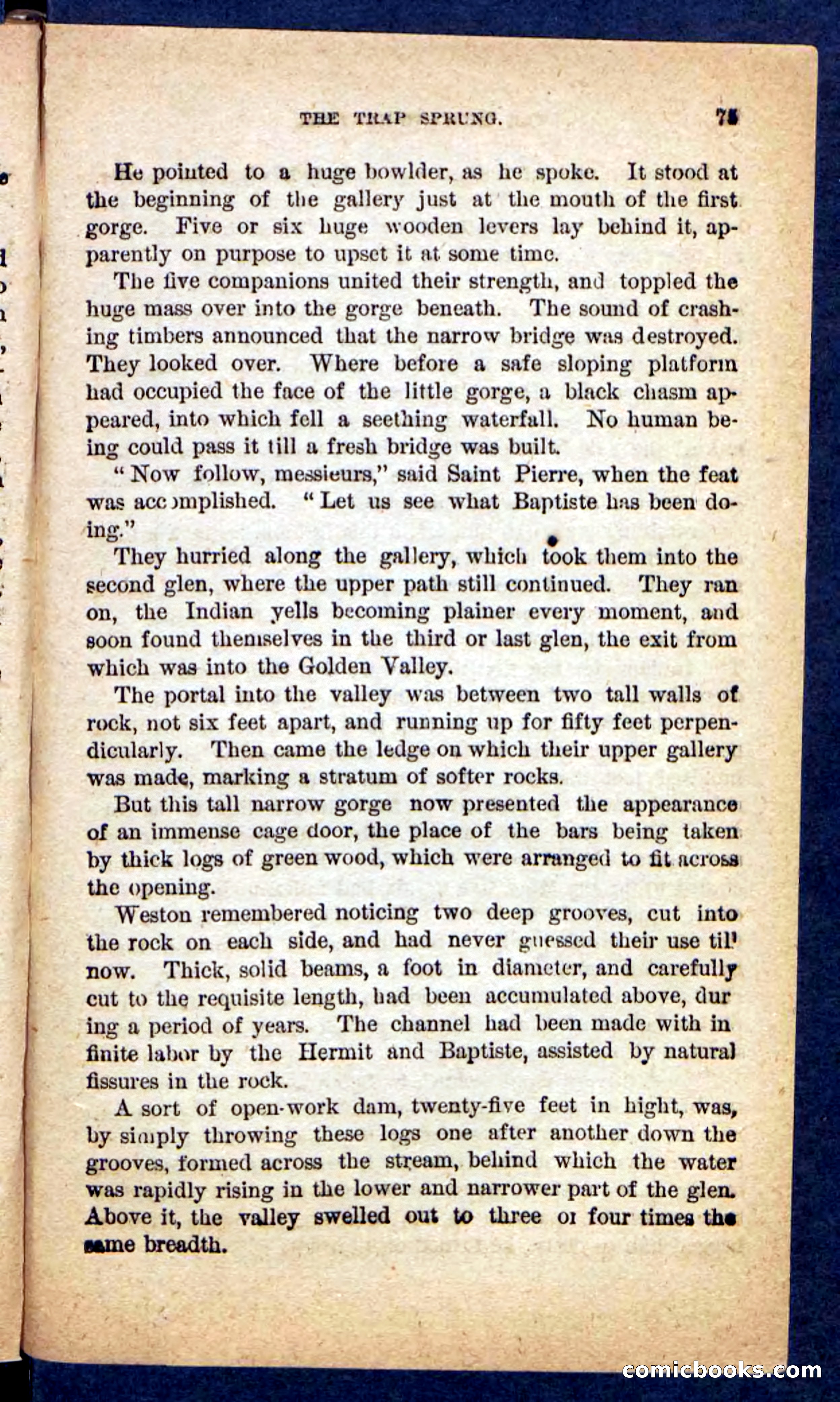 The Mustang-Hunters — page 71 of 100