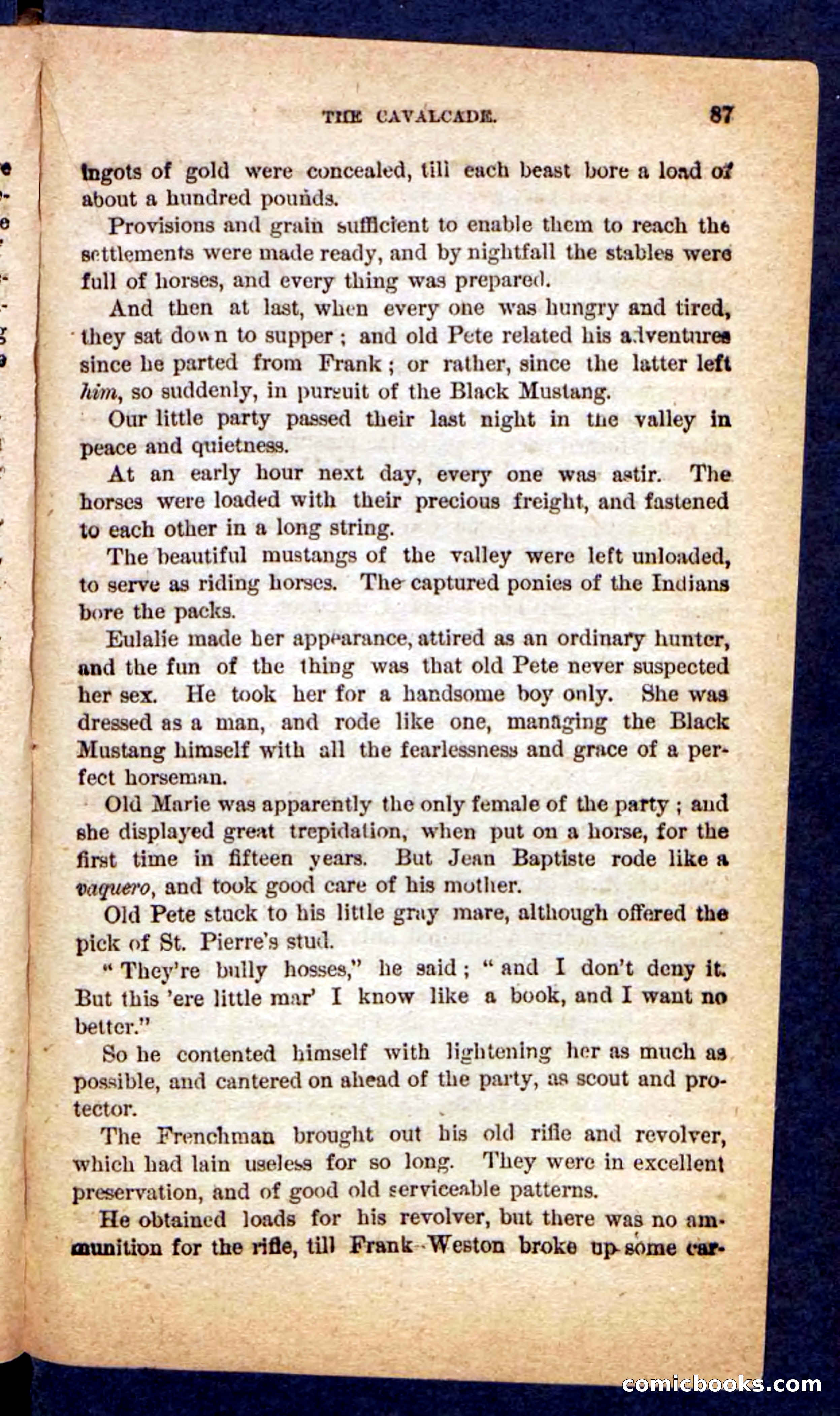 The Mustang-Hunters — page 83 of 100