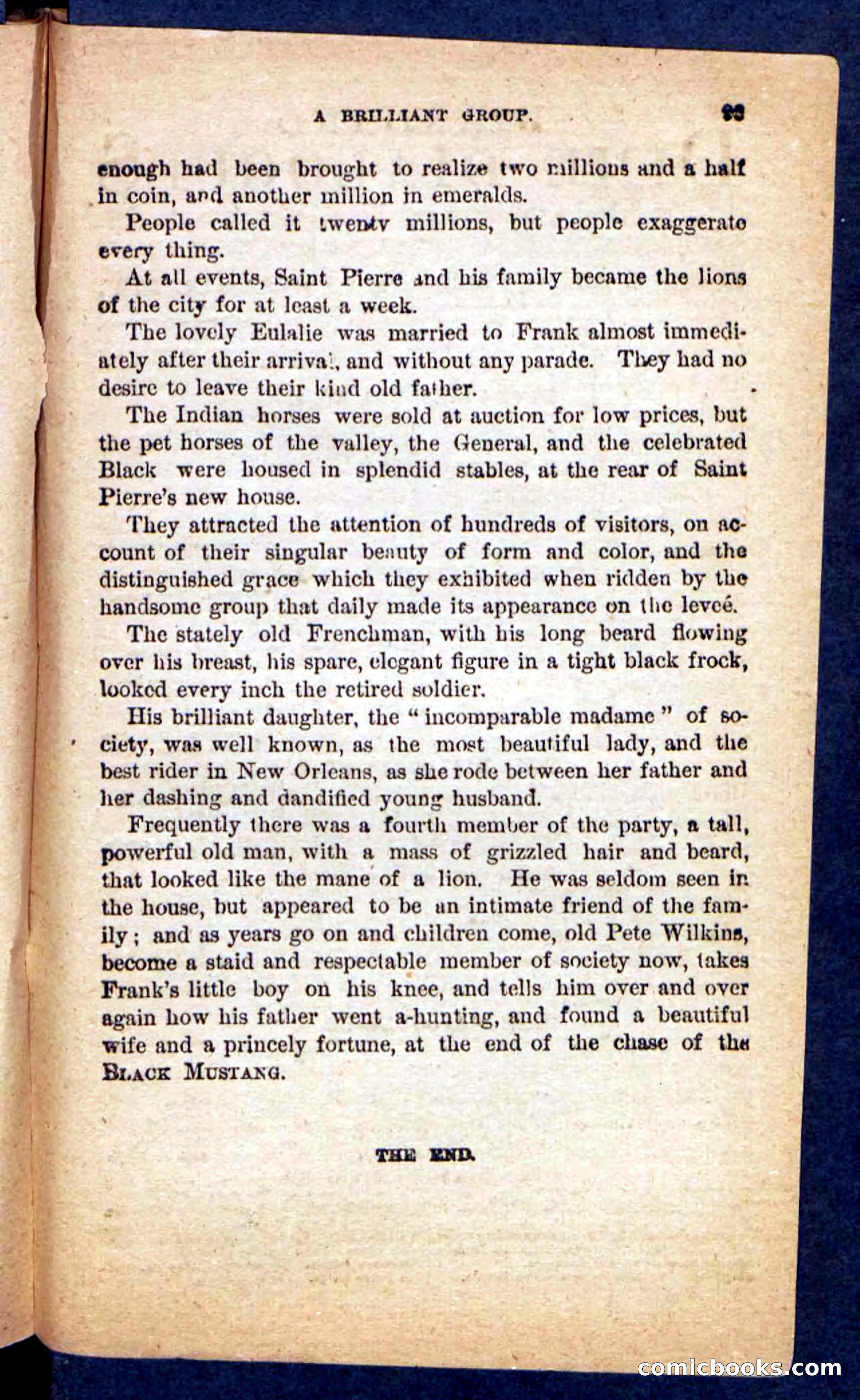 The Mustang-Hunters — page 89 of 100