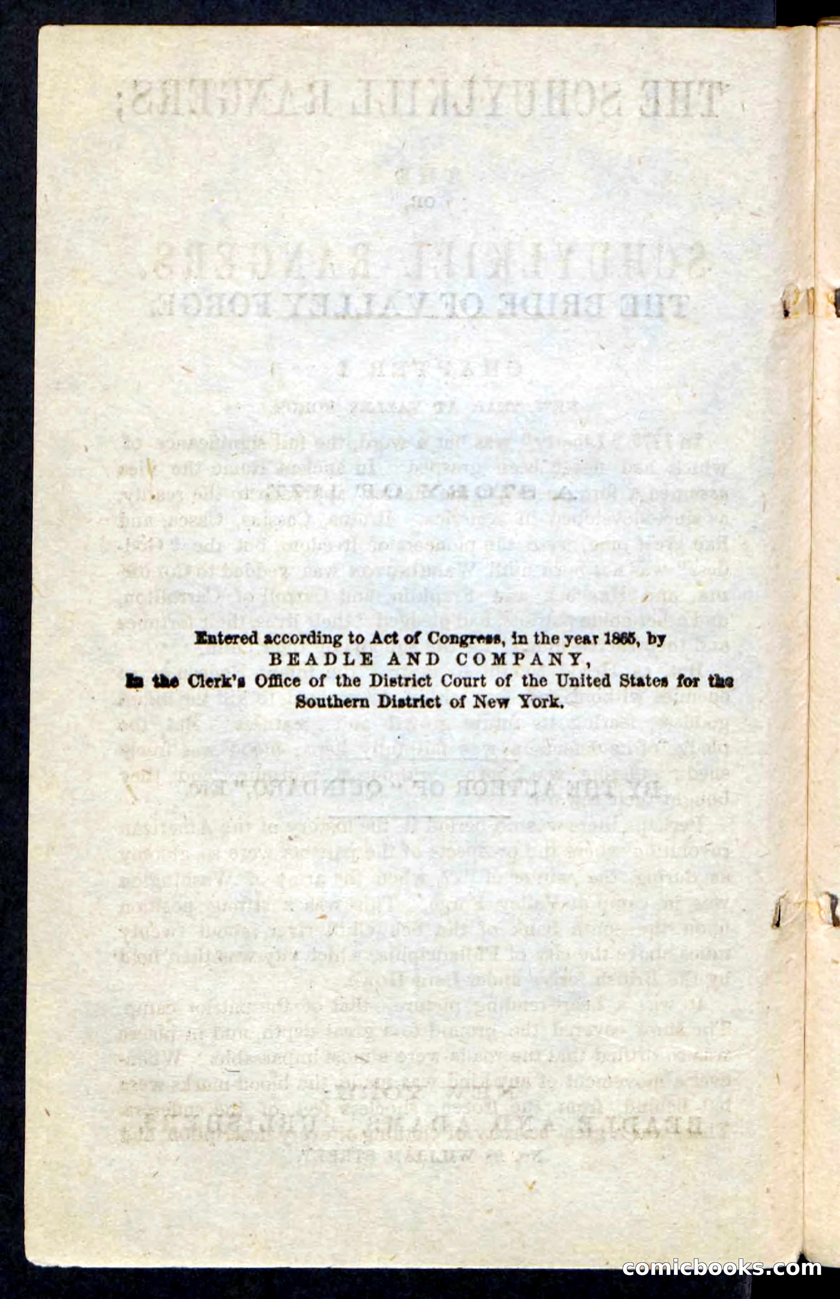 Beadle's Pocket Novels: The Schuylkill Rangers — page 4 of 100